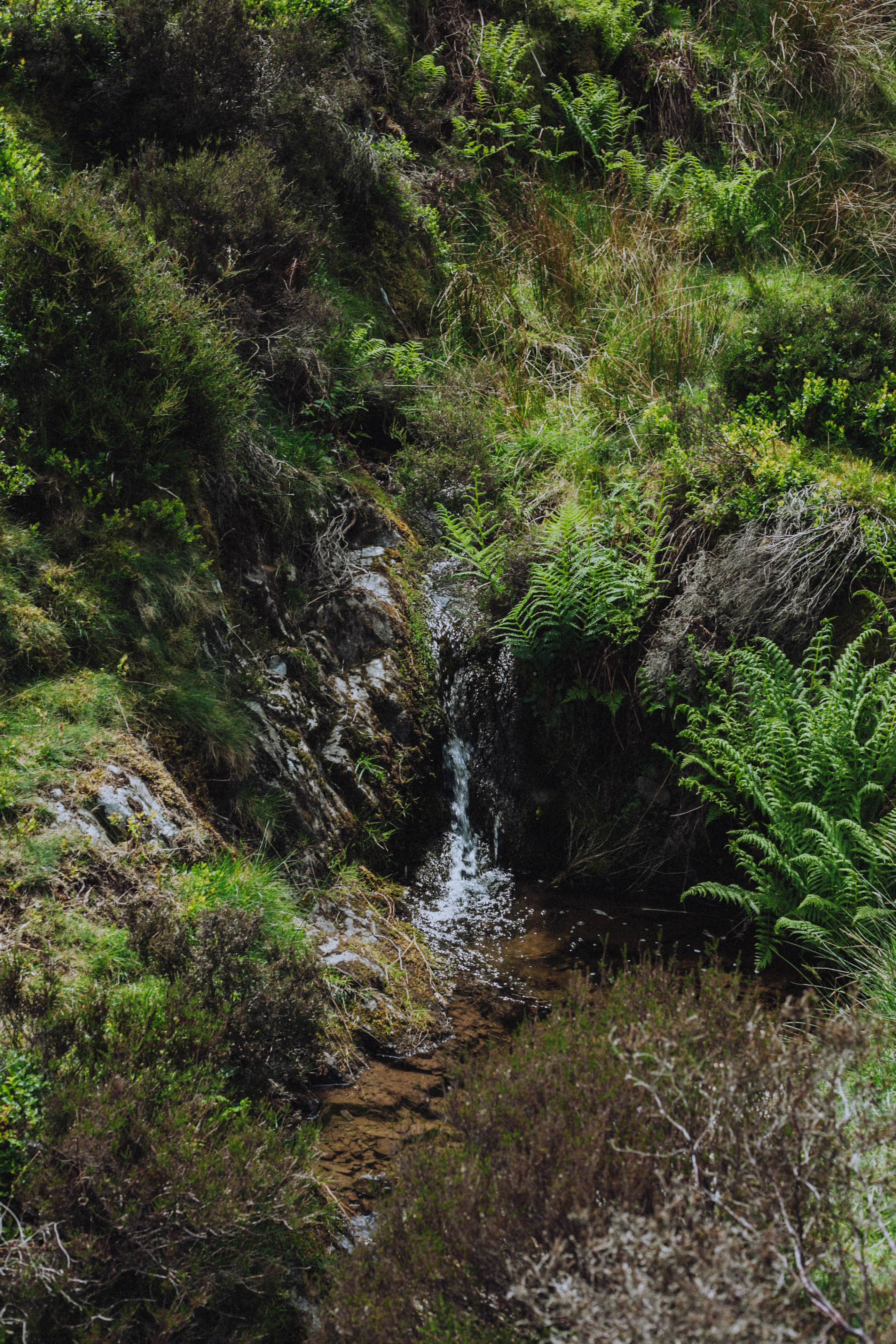 Shropshire Hills 50