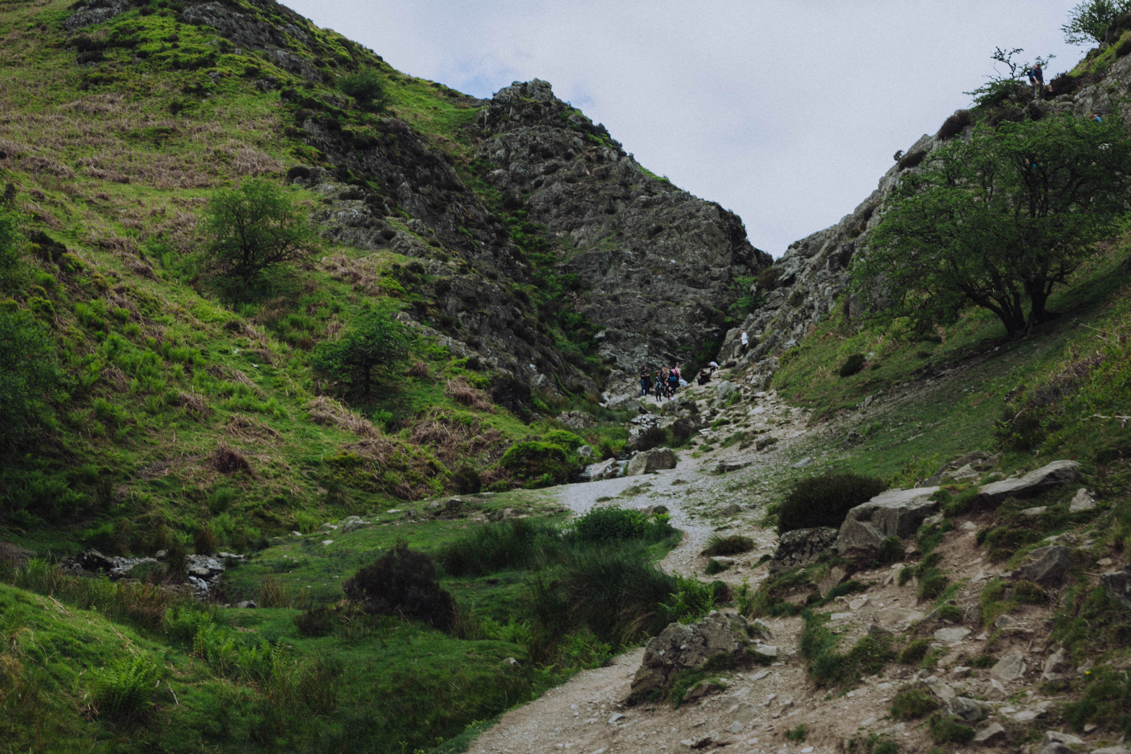 Shropshire Hills 51