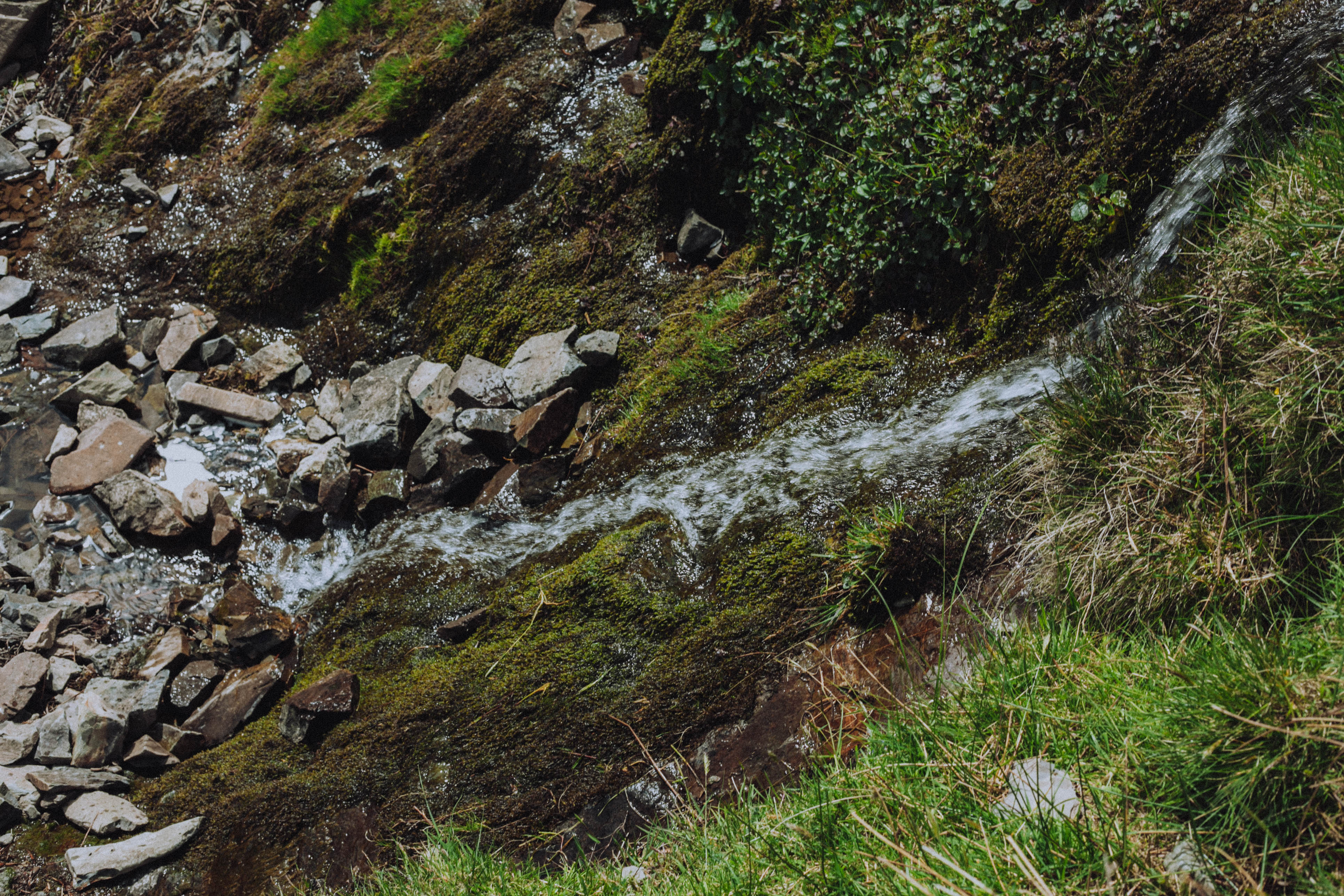 Shropshire Hills 52