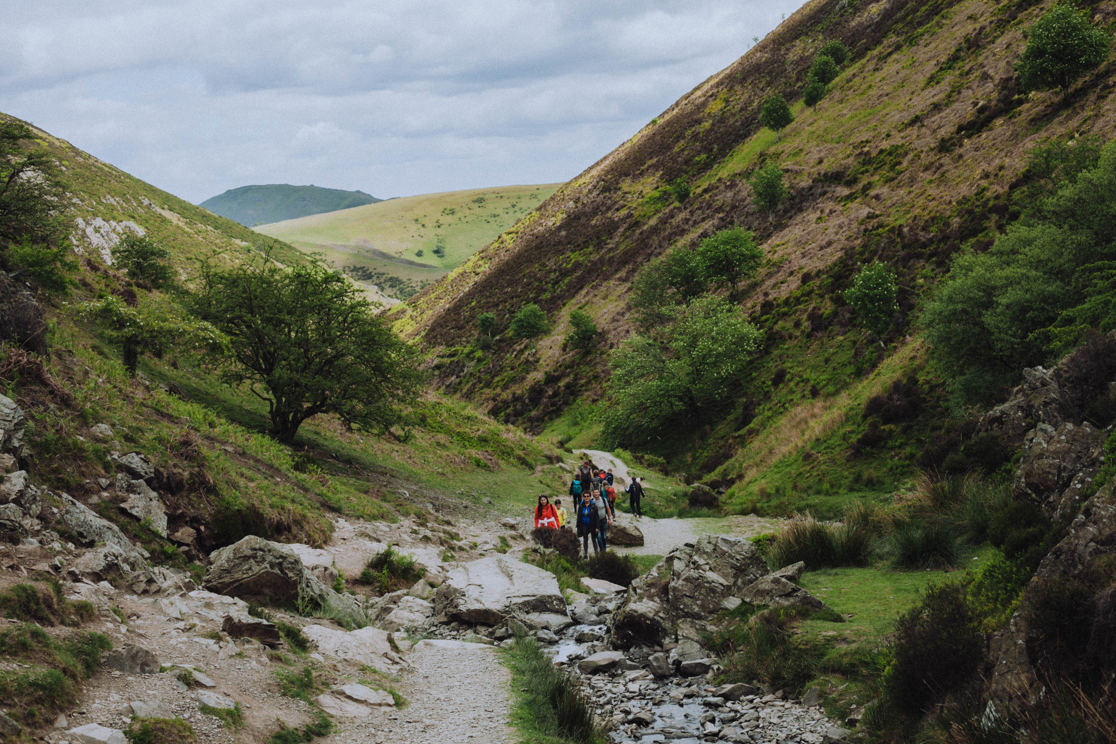 Shropshire Hills 53