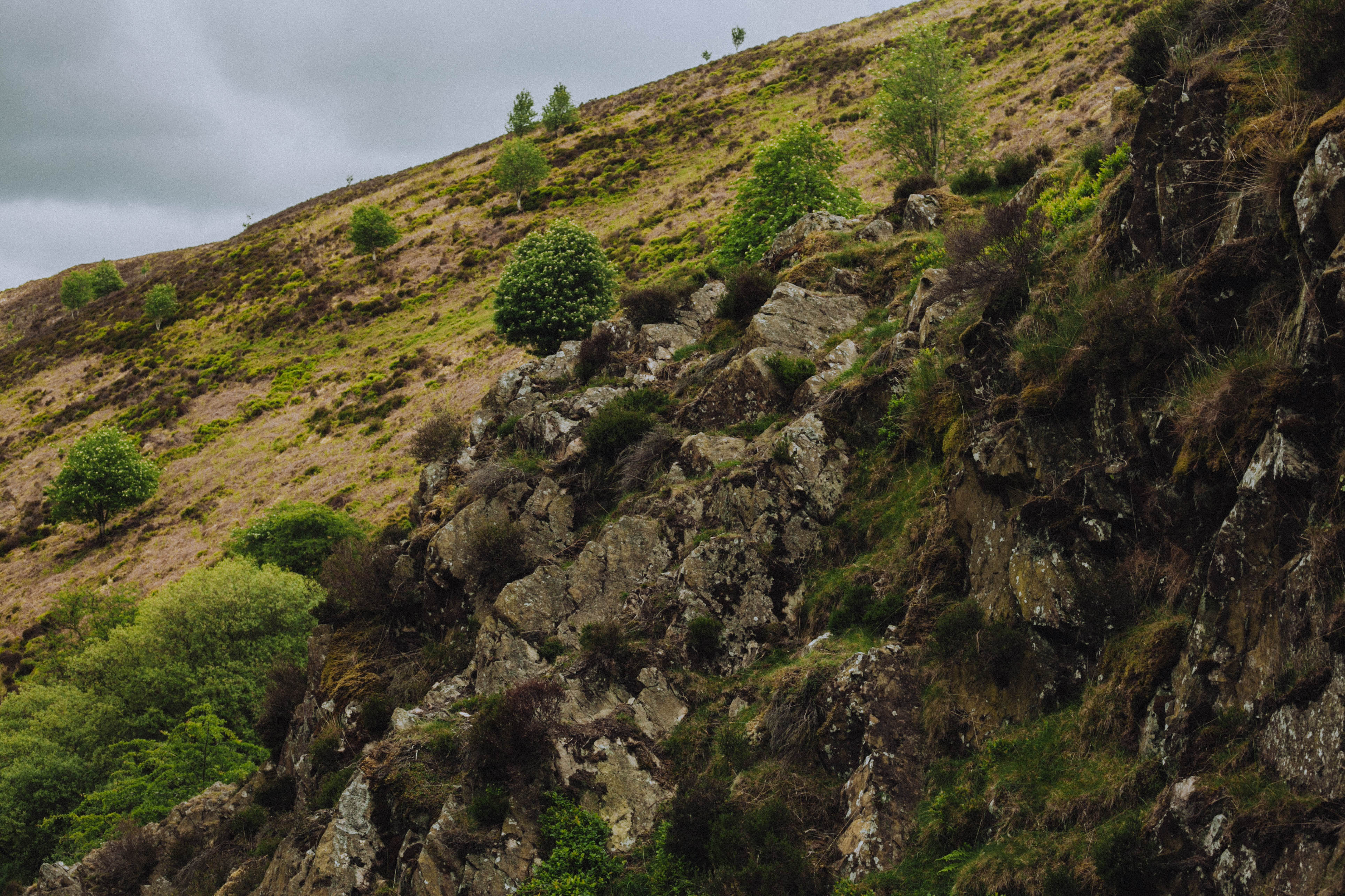 Shropshire Hills 54