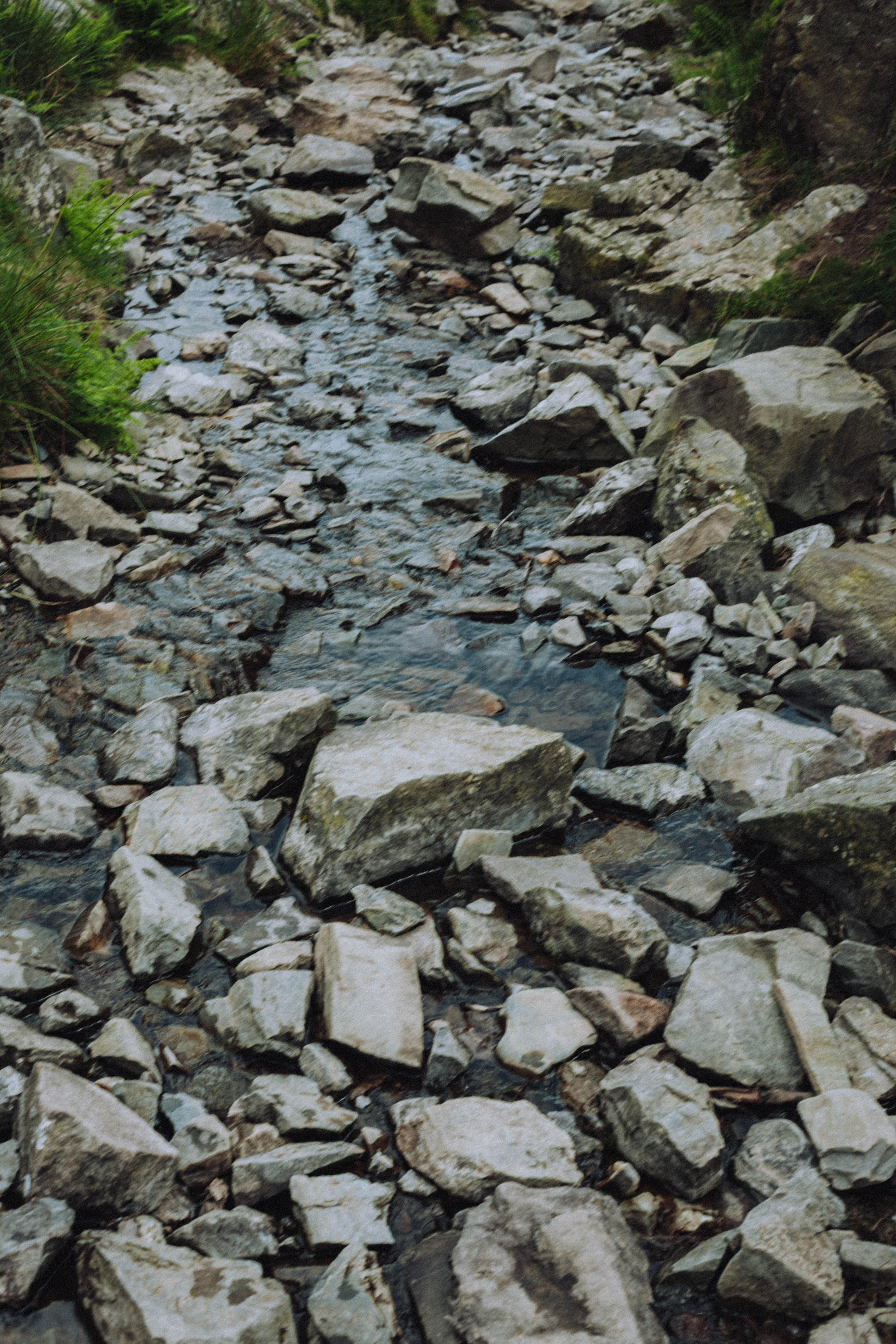 Shropshire Hills 55