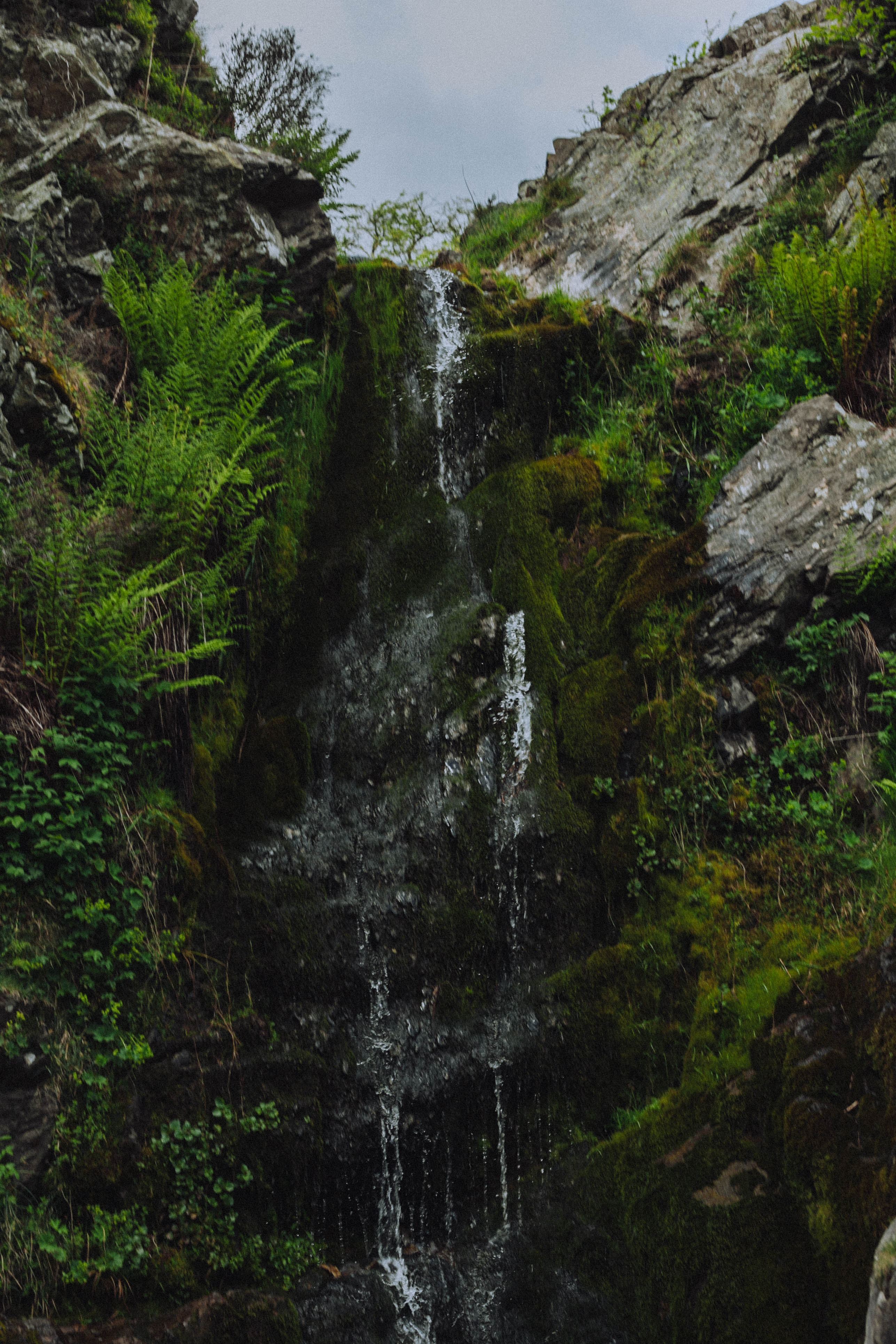 Shropshire Hills 56