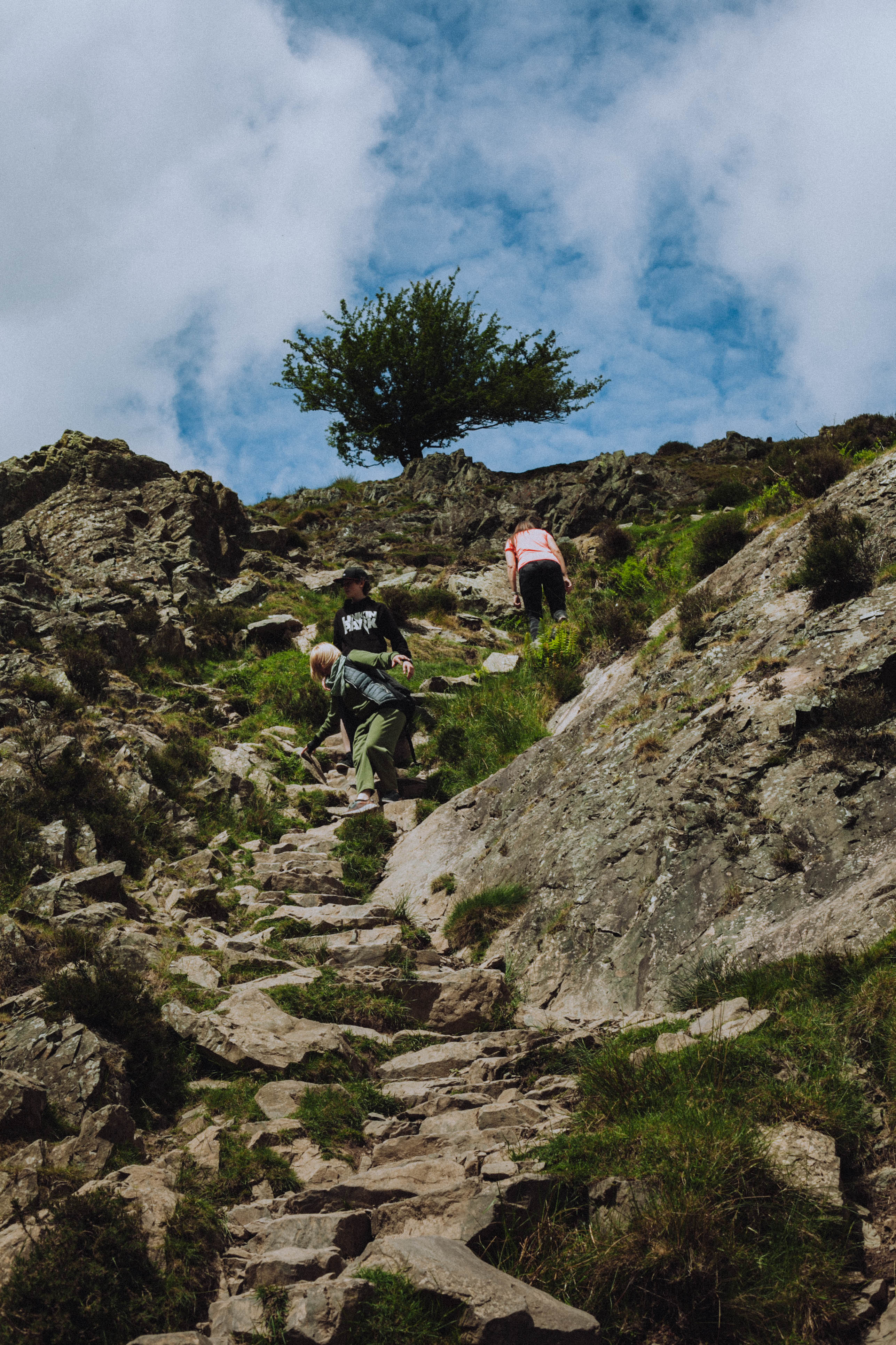Shropshire Hills 61