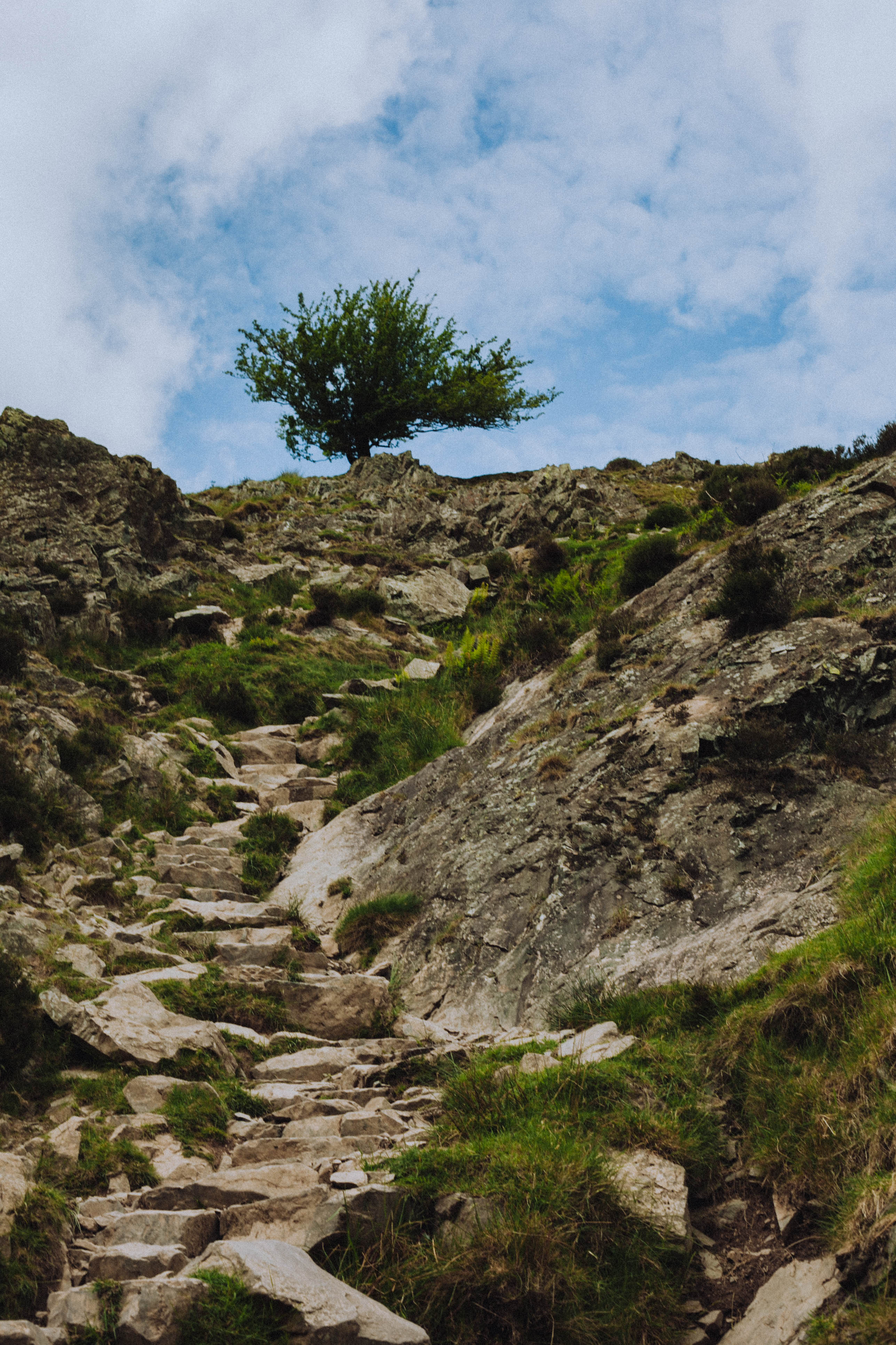 Shropshire Hills 63