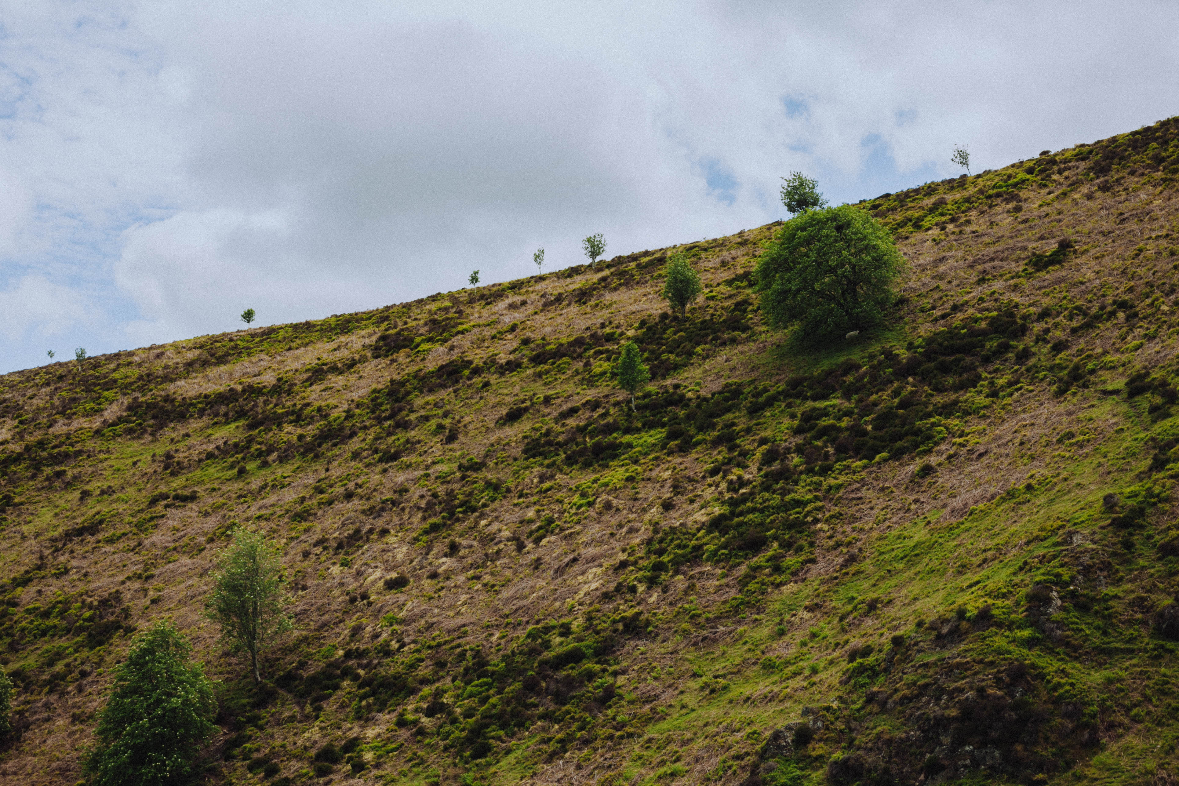 Shropshire Hills 67