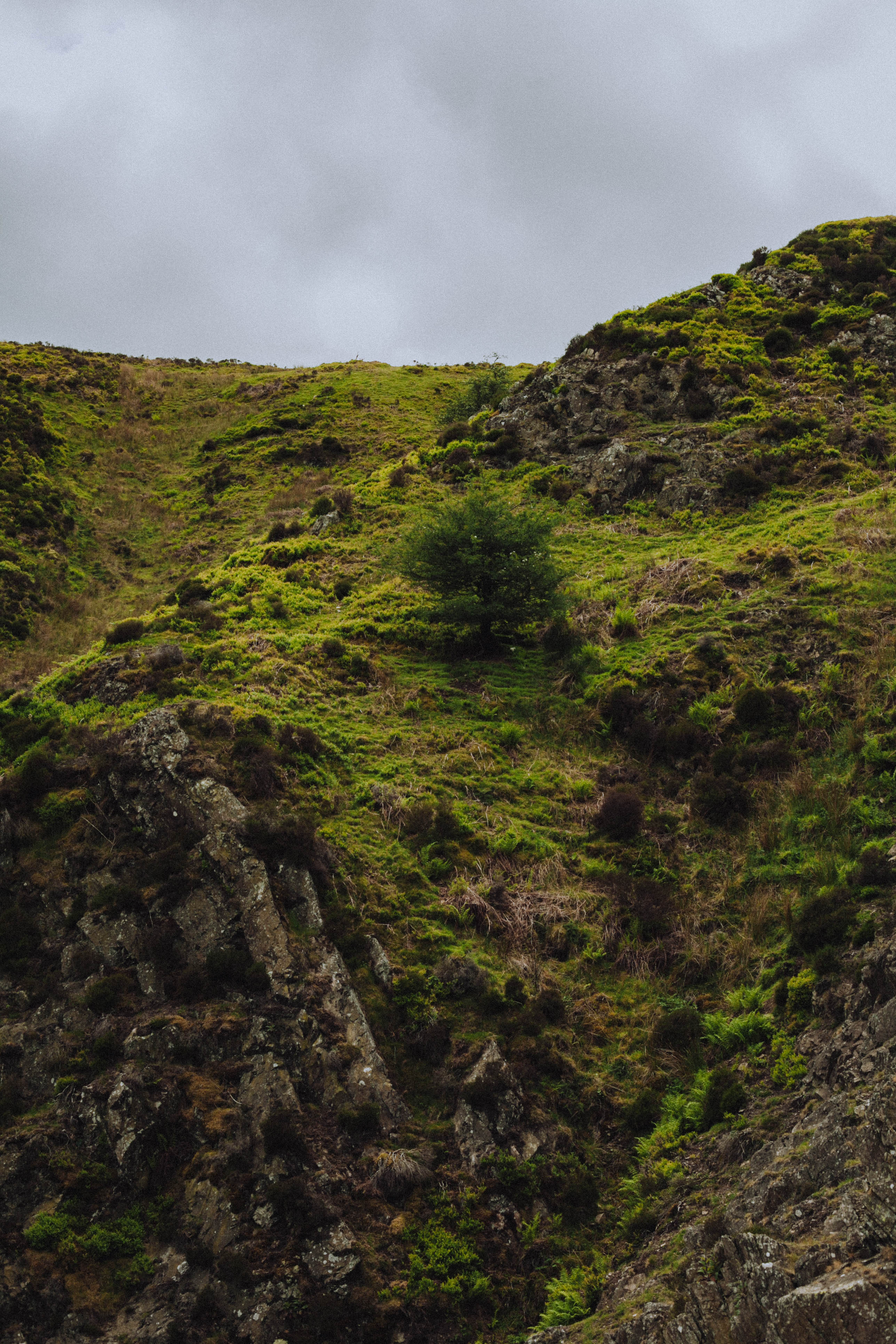 Shropshire Hills 68