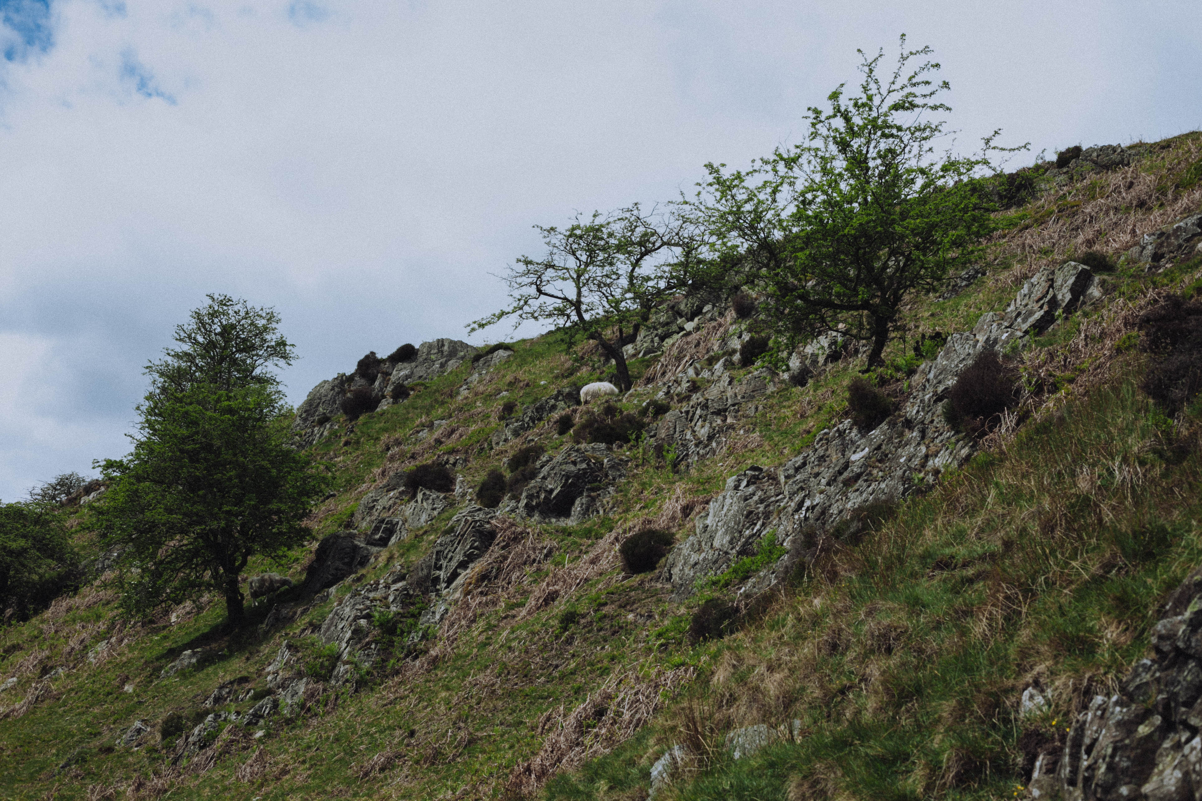 Shropshire Hills 71