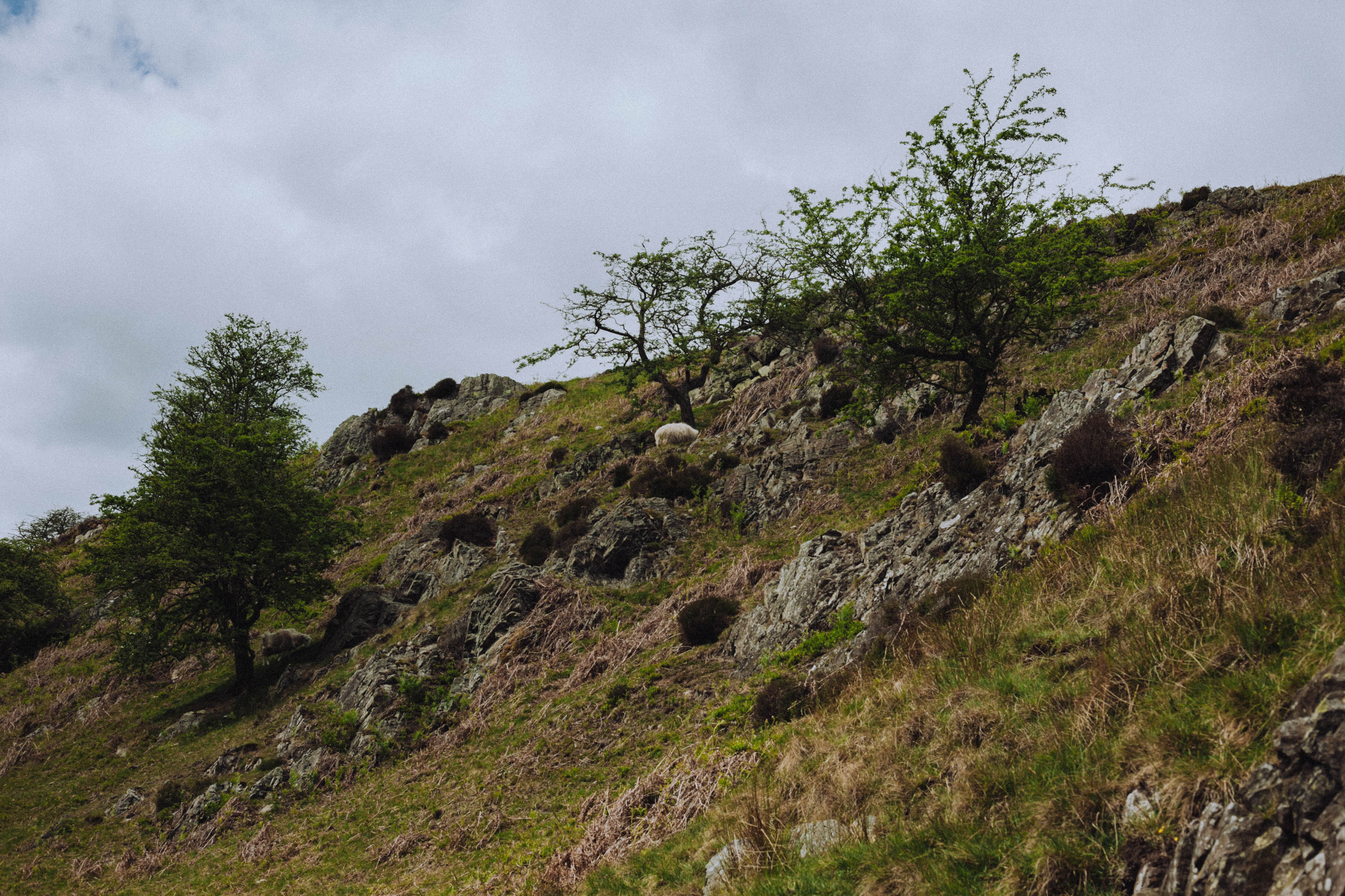 Shropshire Hills 72