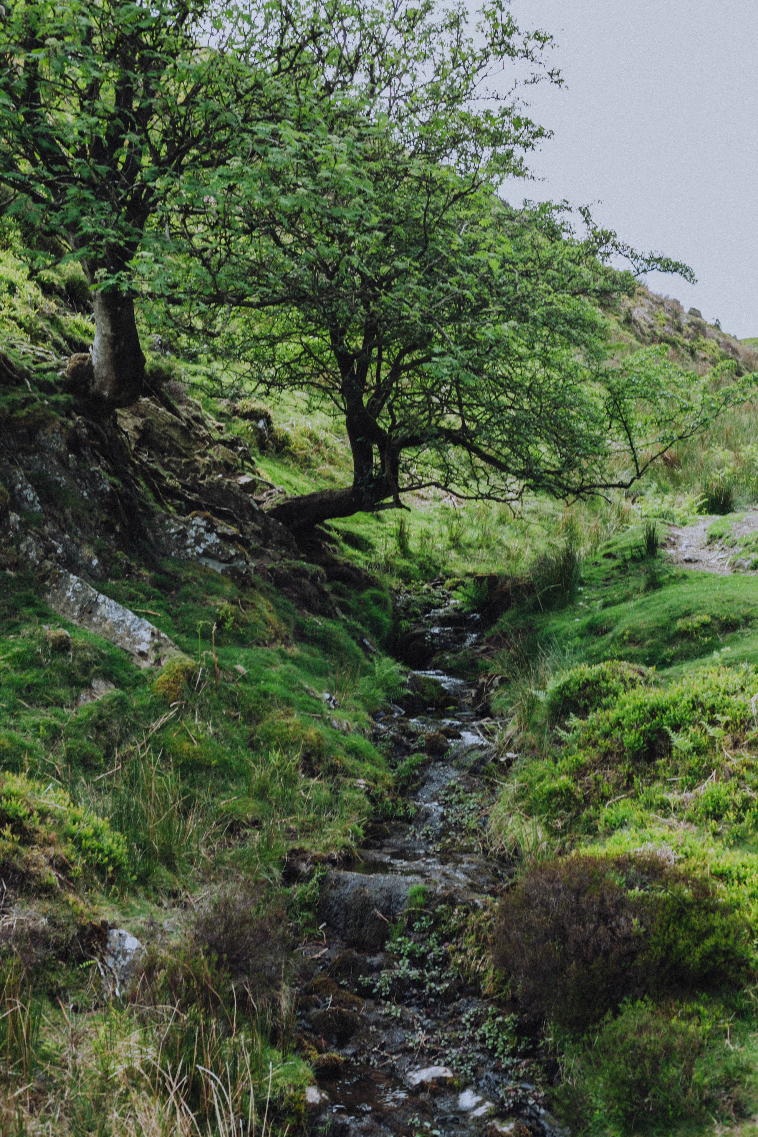 Shropshire Hills 76