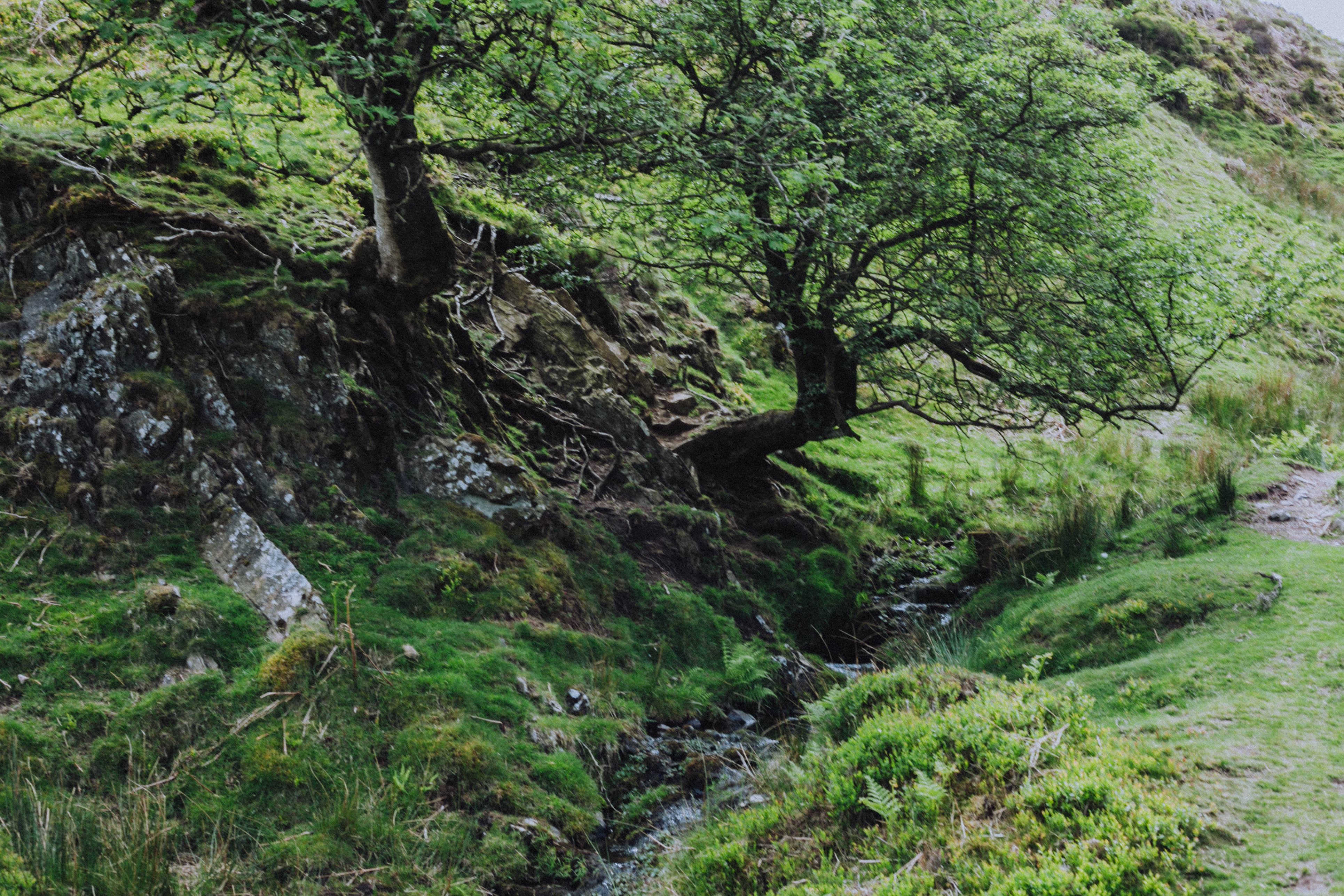 Shropshire Hills 77