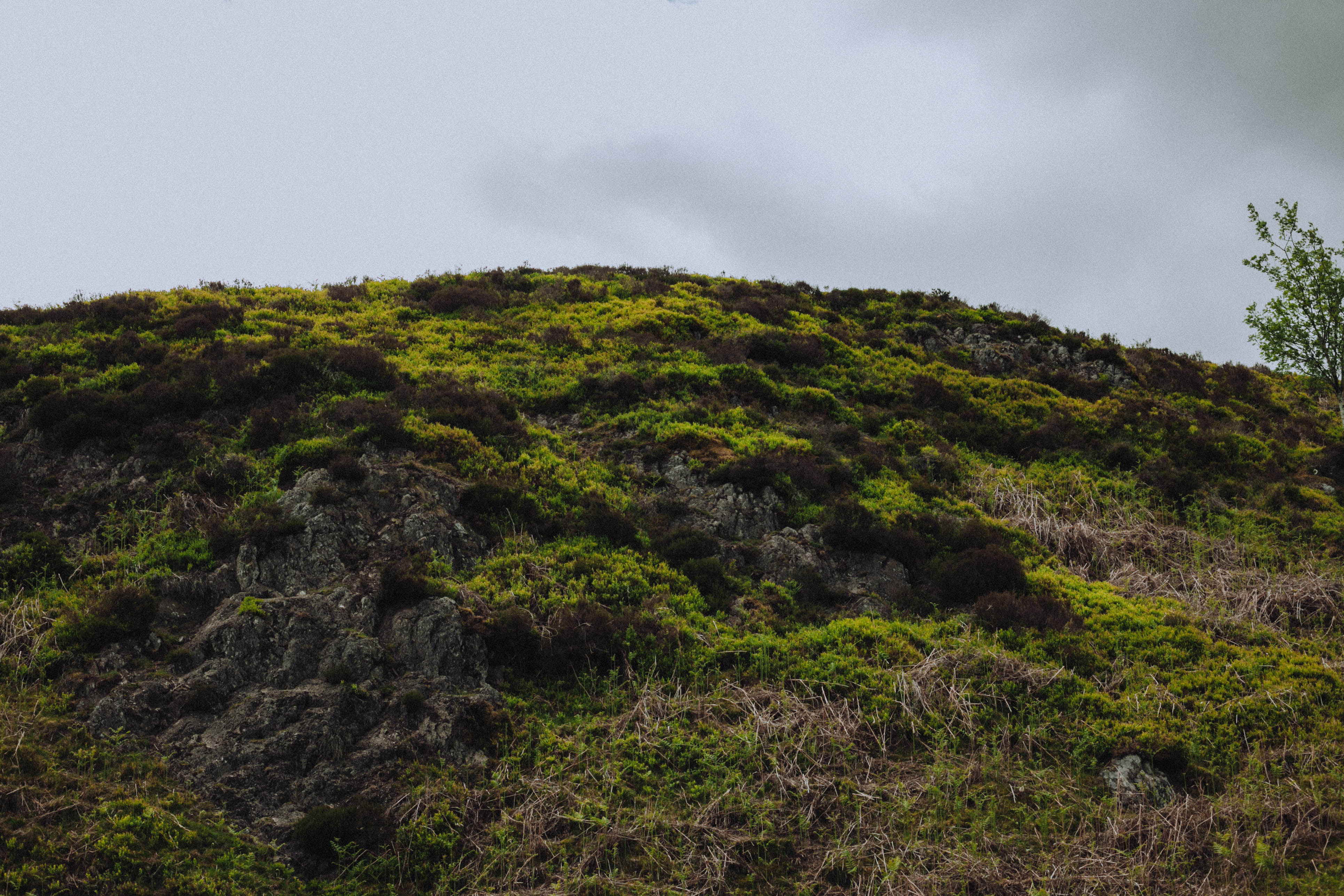 Shropshire Hills 79