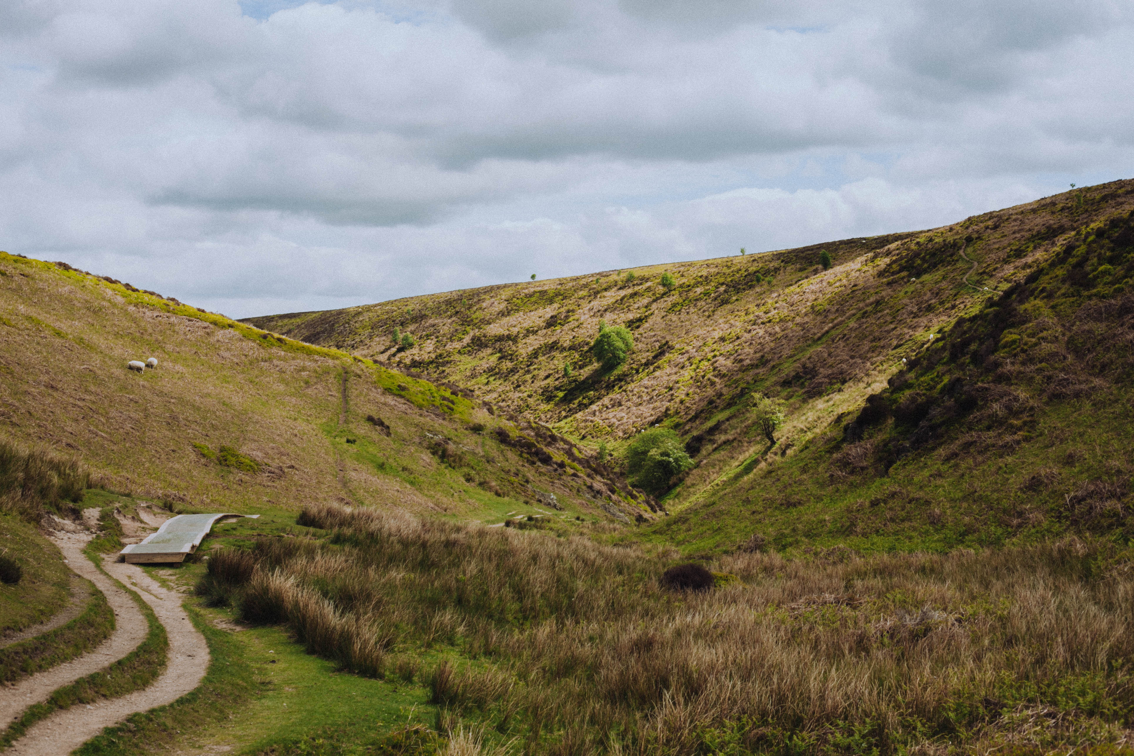 Shropshire Hills 80
