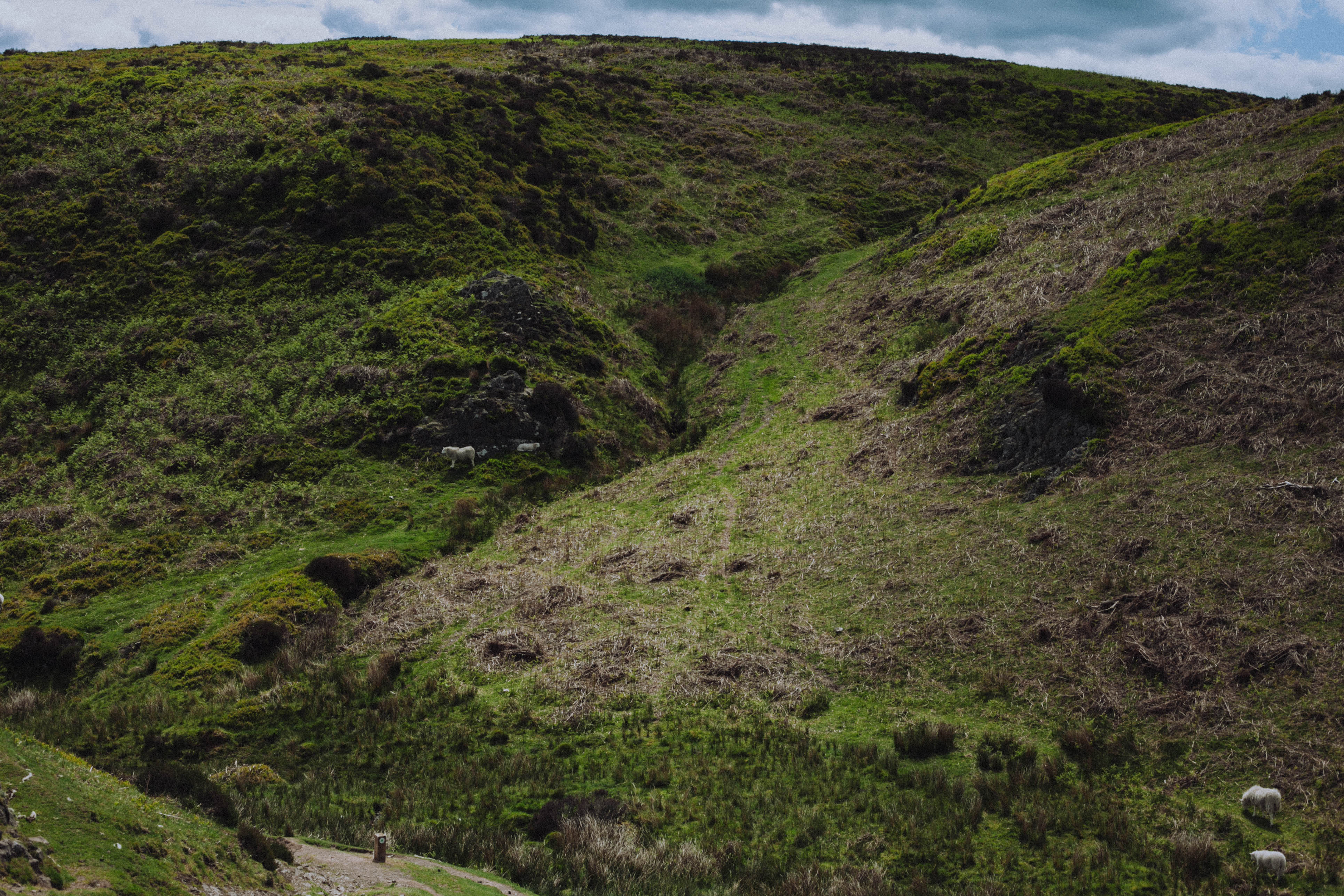 Shropshire Hills 84