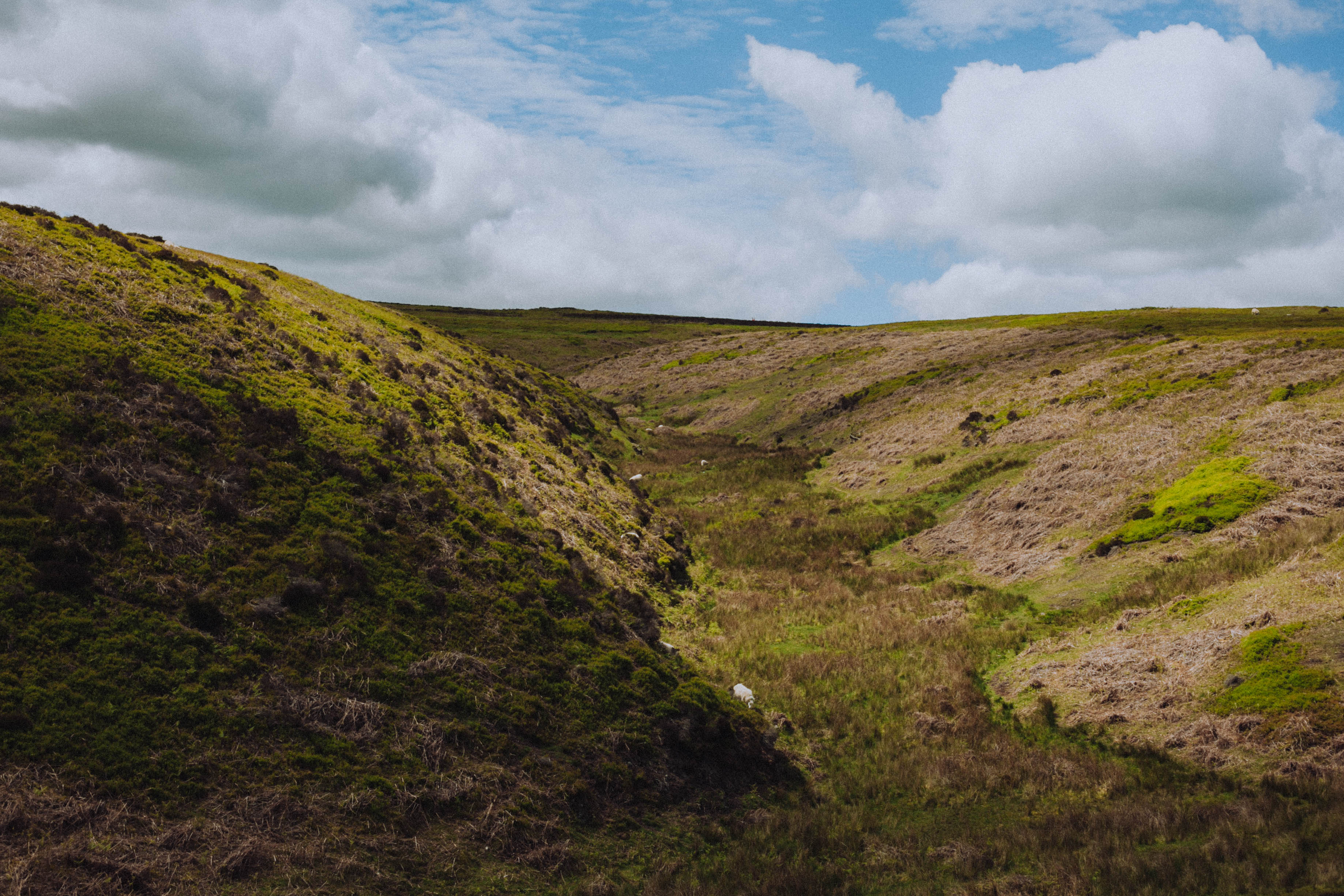 Shropshire Hills 85