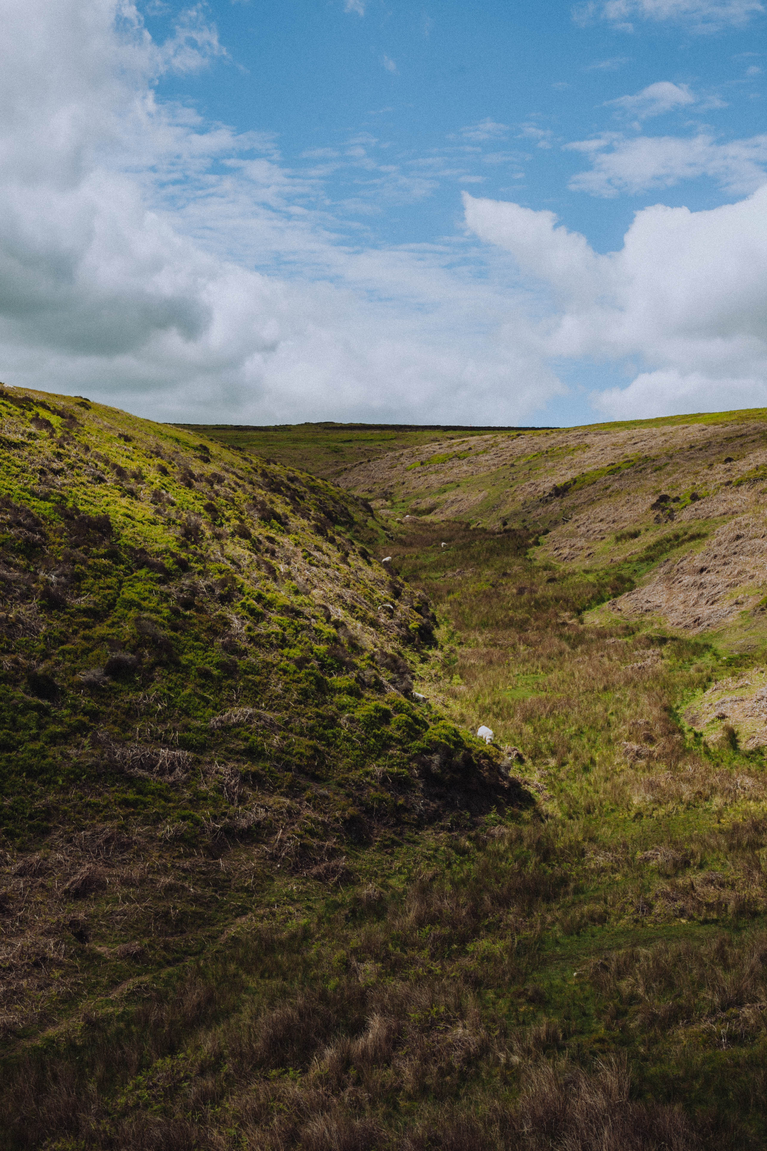 Shropshire Hills 86