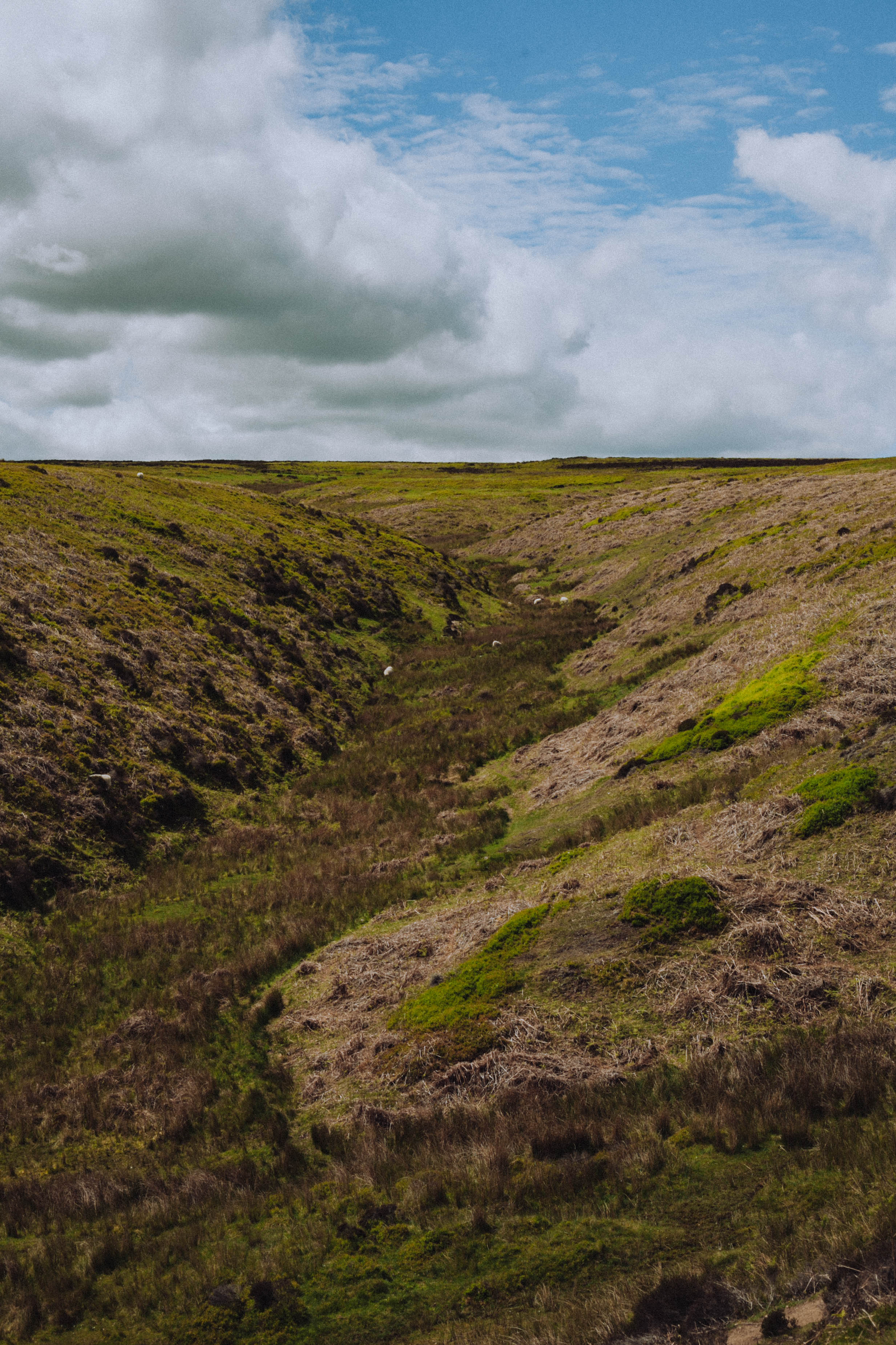 Shropshire Hills 87