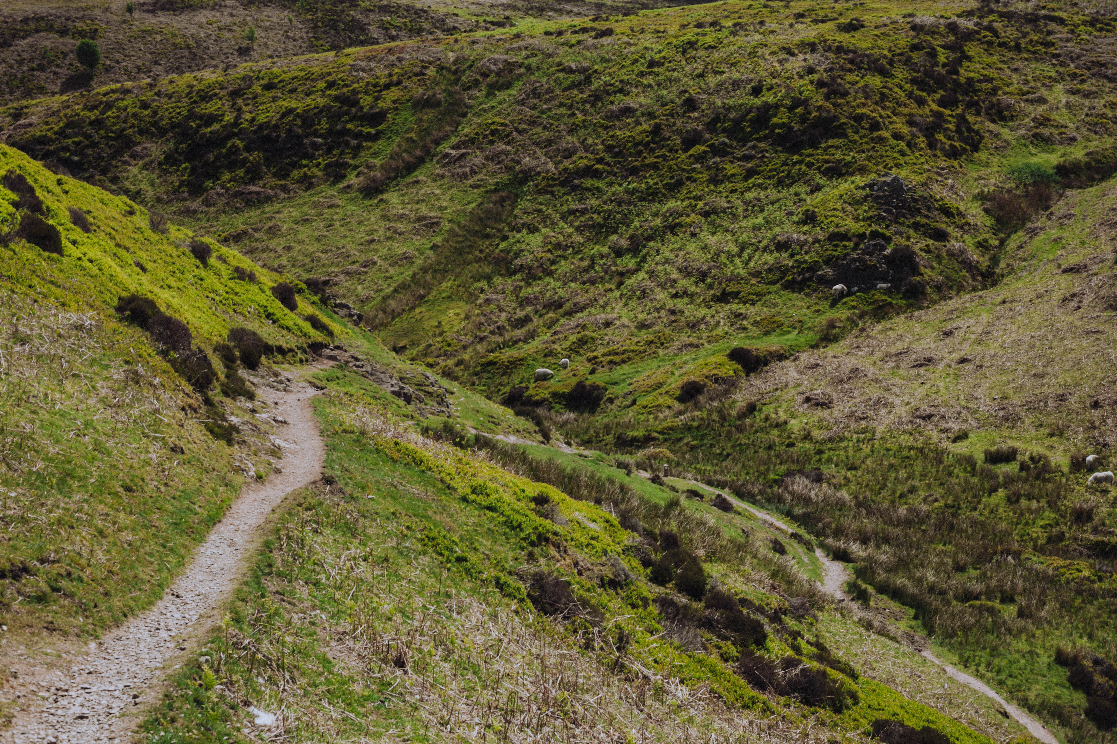 Shropshire Hills 88