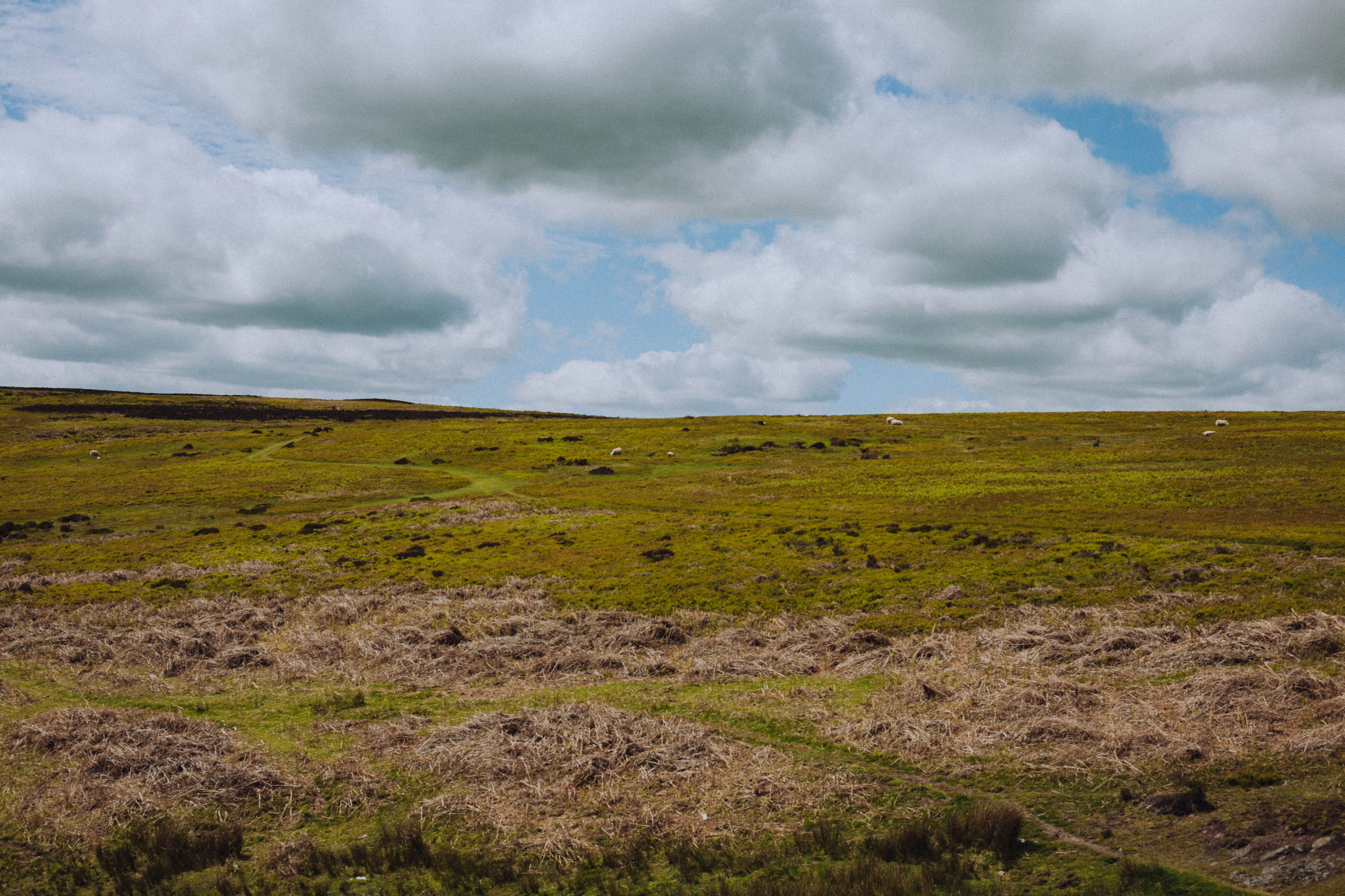 Shropshire Hills 92