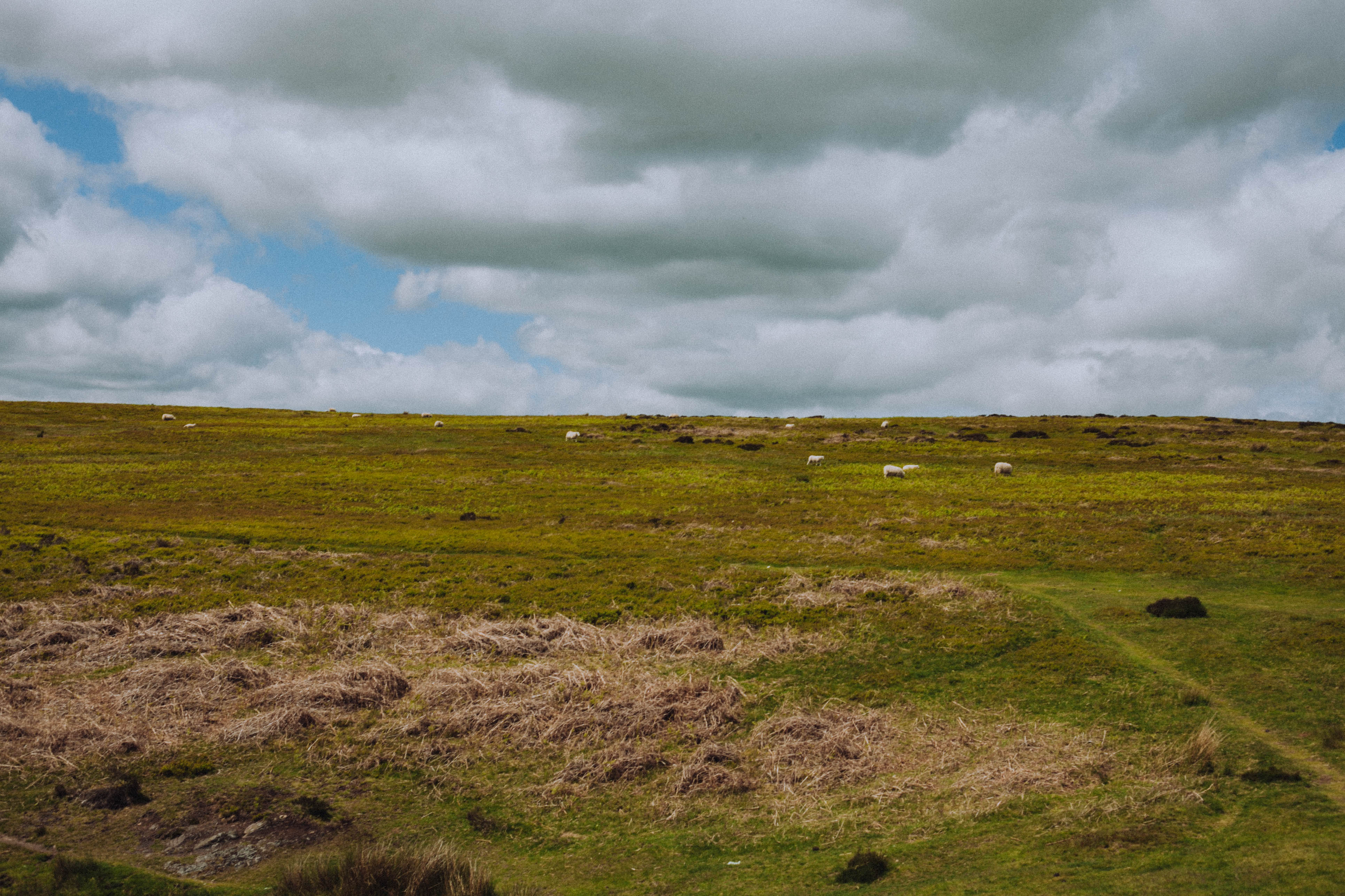 Shropshire Hills 93