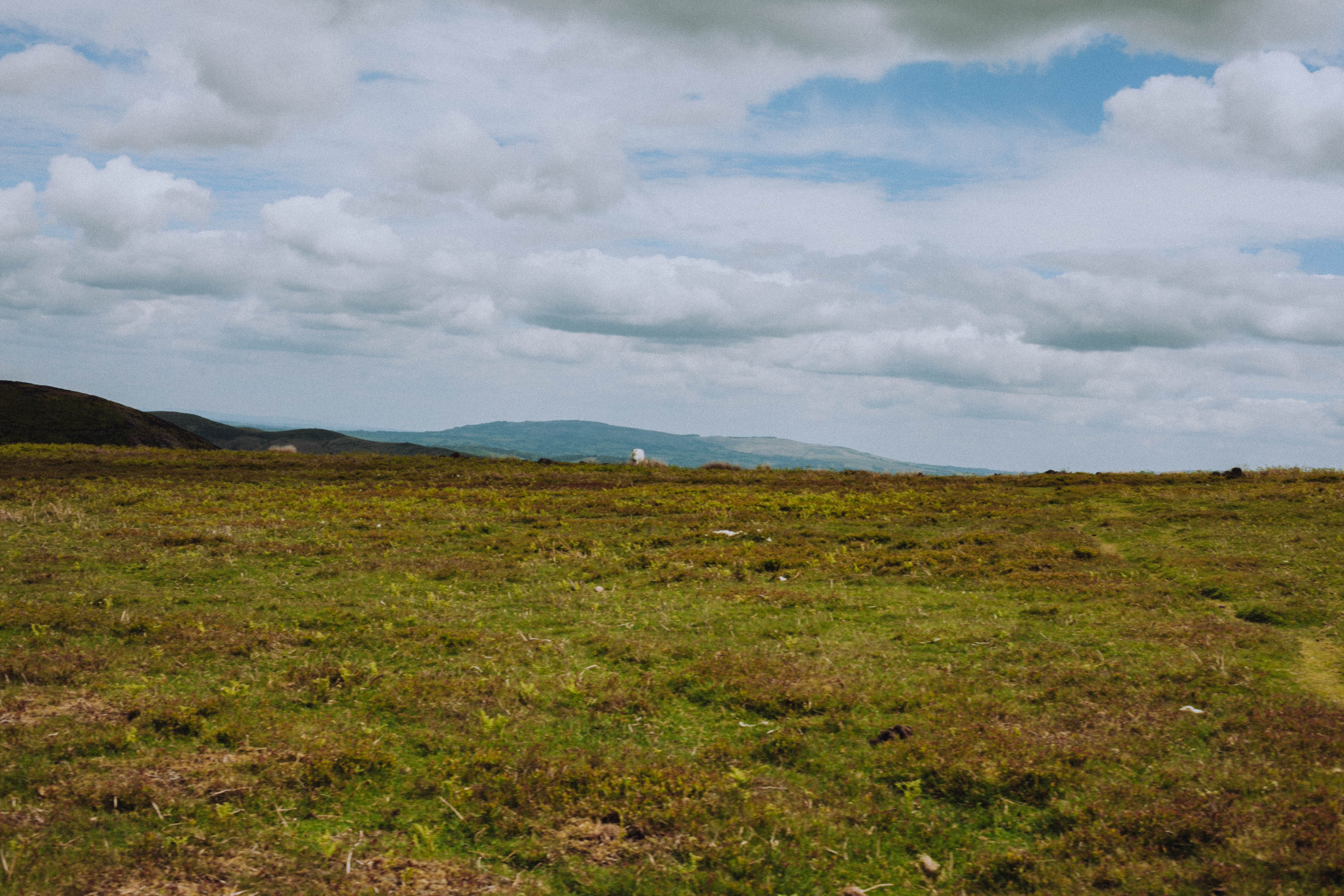 Shropshire Hills 94