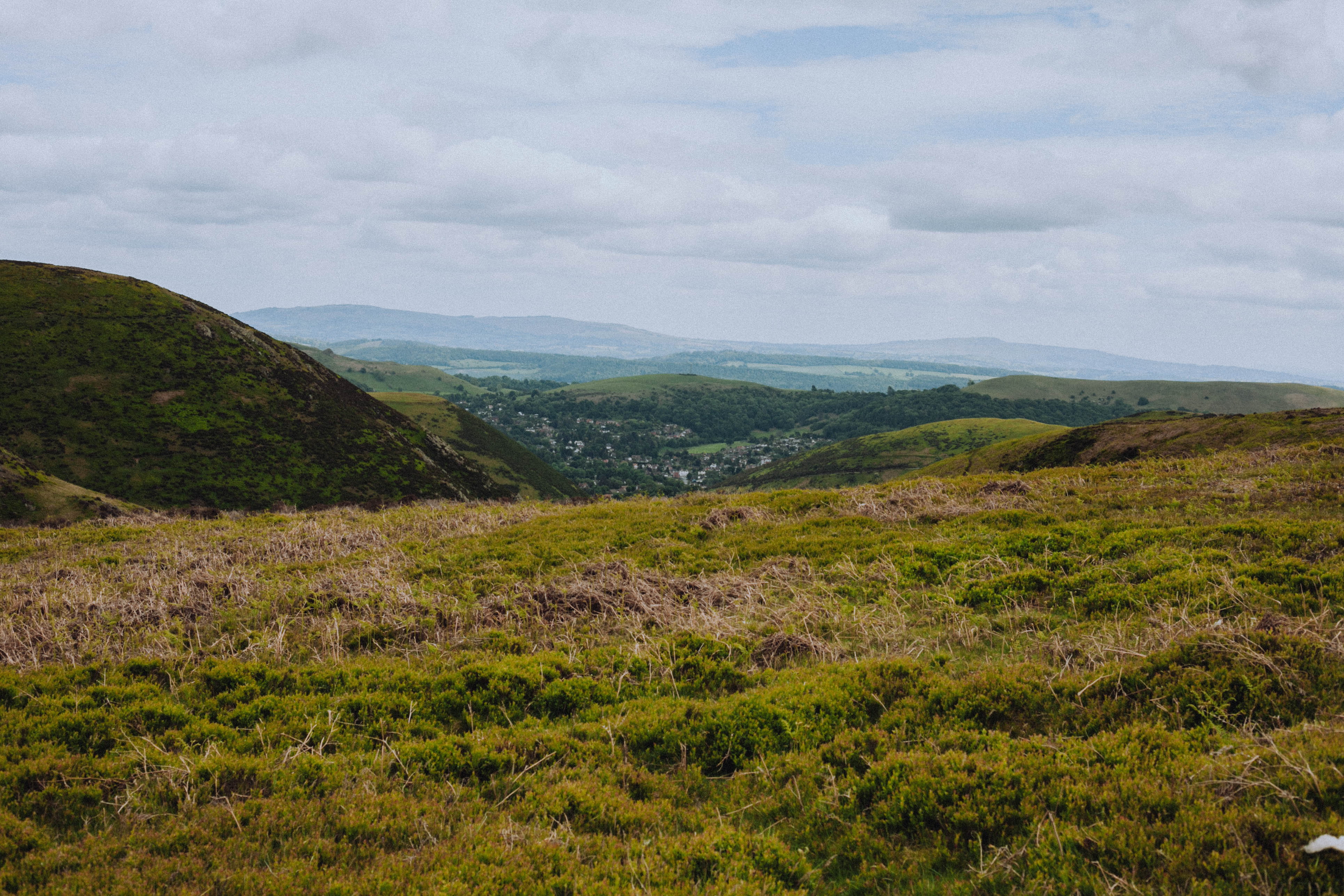 Shropshire Hills 99