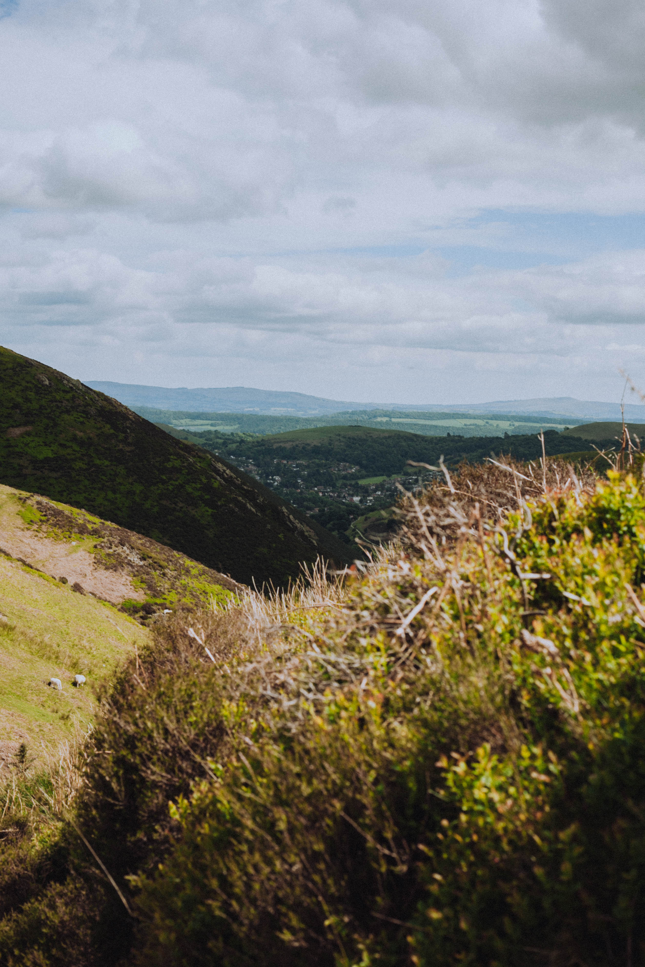 Shropshire Hills 100