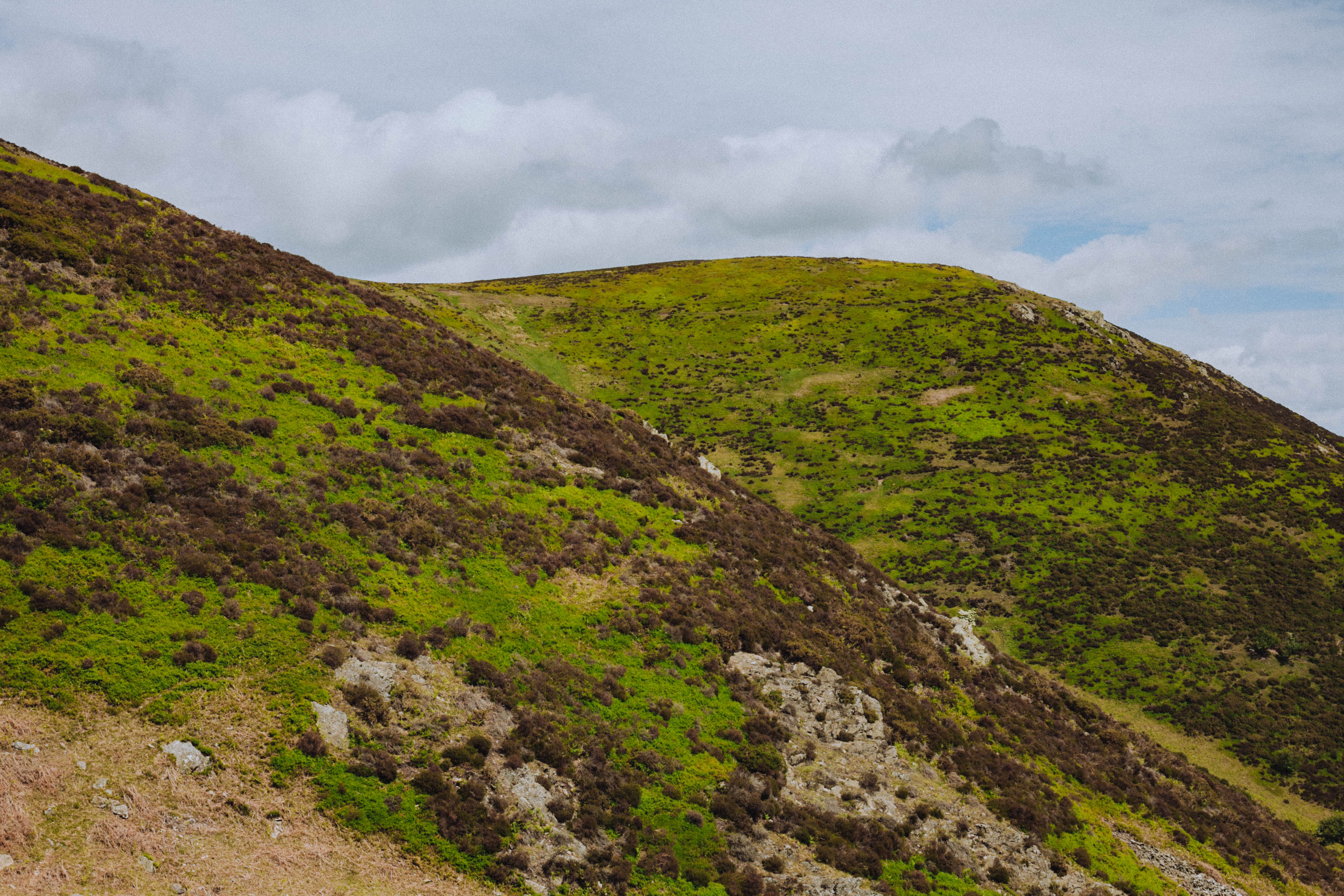 Shropshire Hills 106