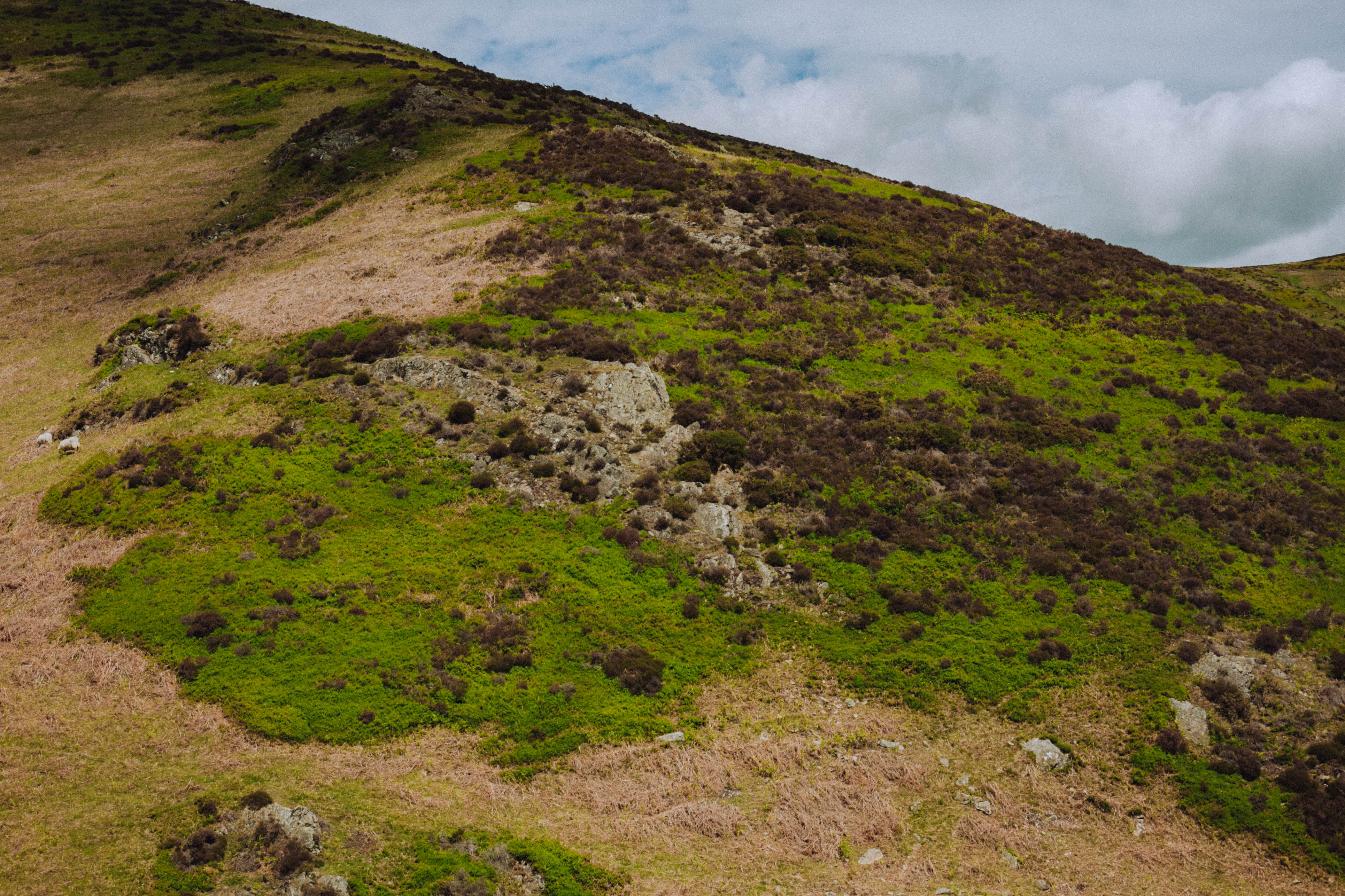 Shropshire Hills 107