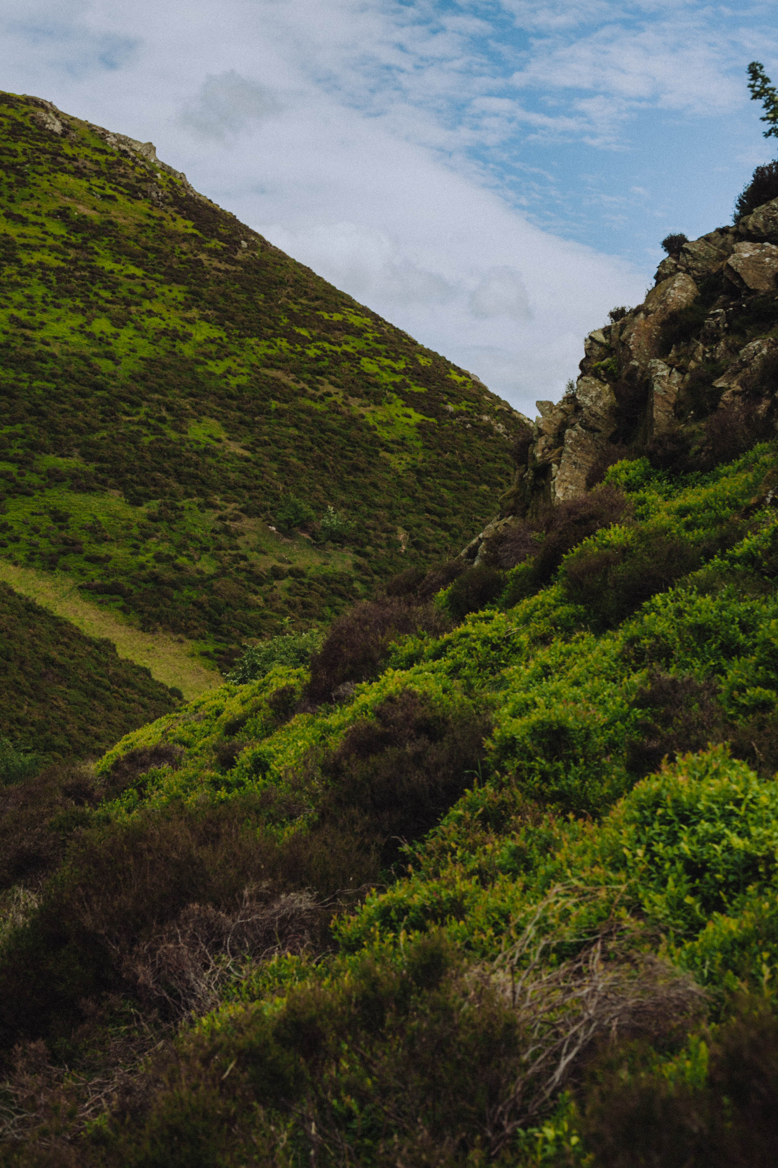 Shropshire Hills 108