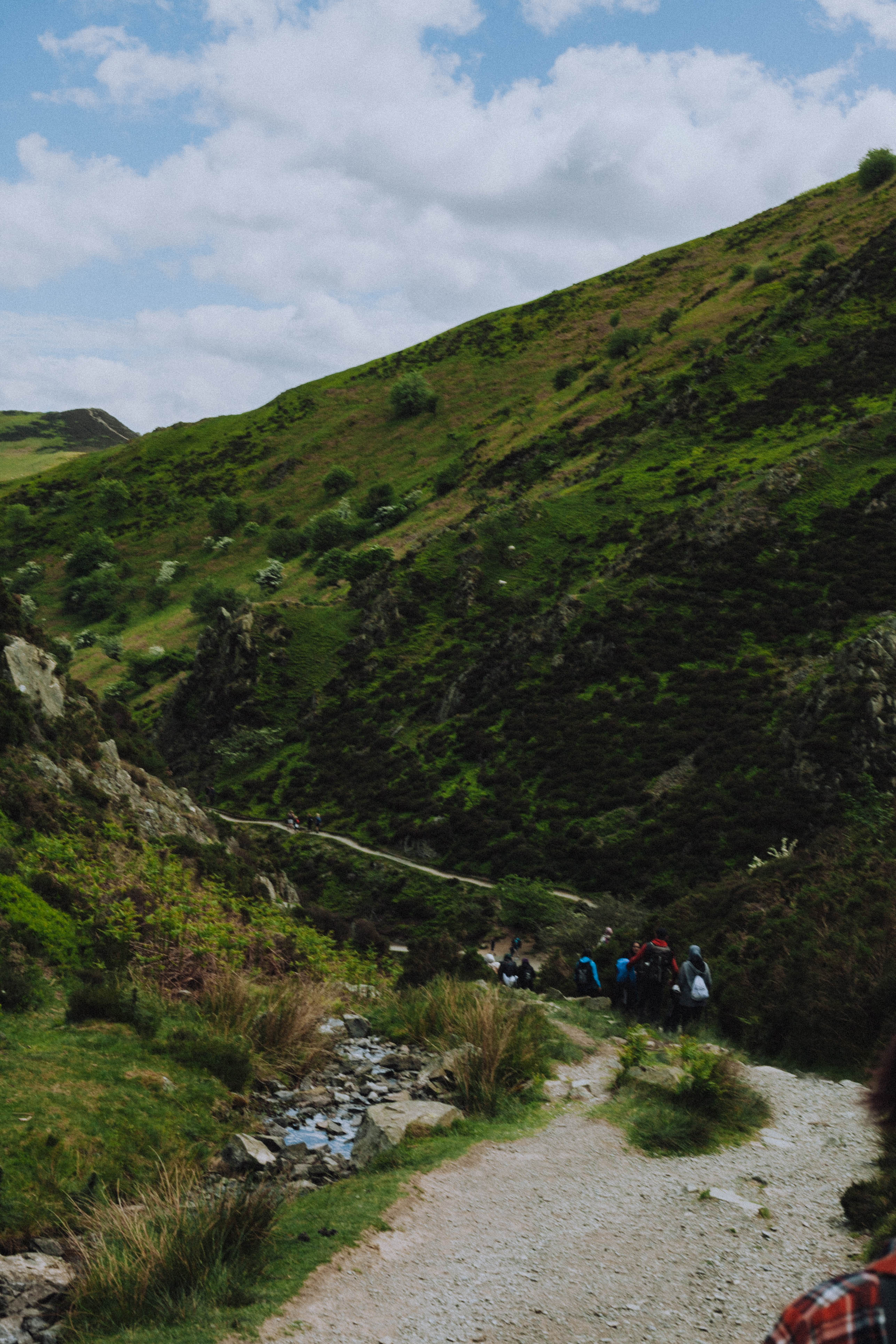 Shropshire Hills 109