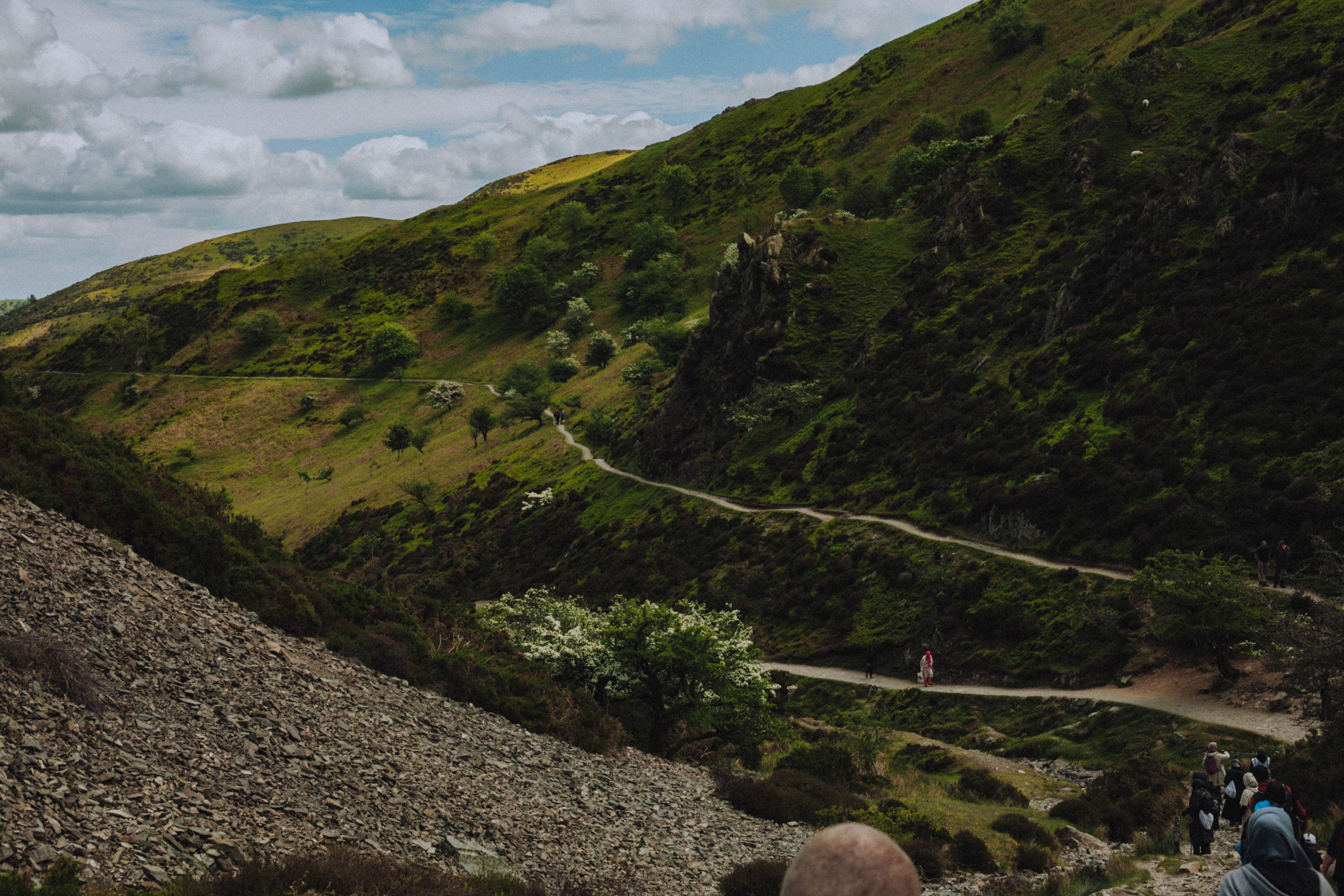 Shropshire Hills 110