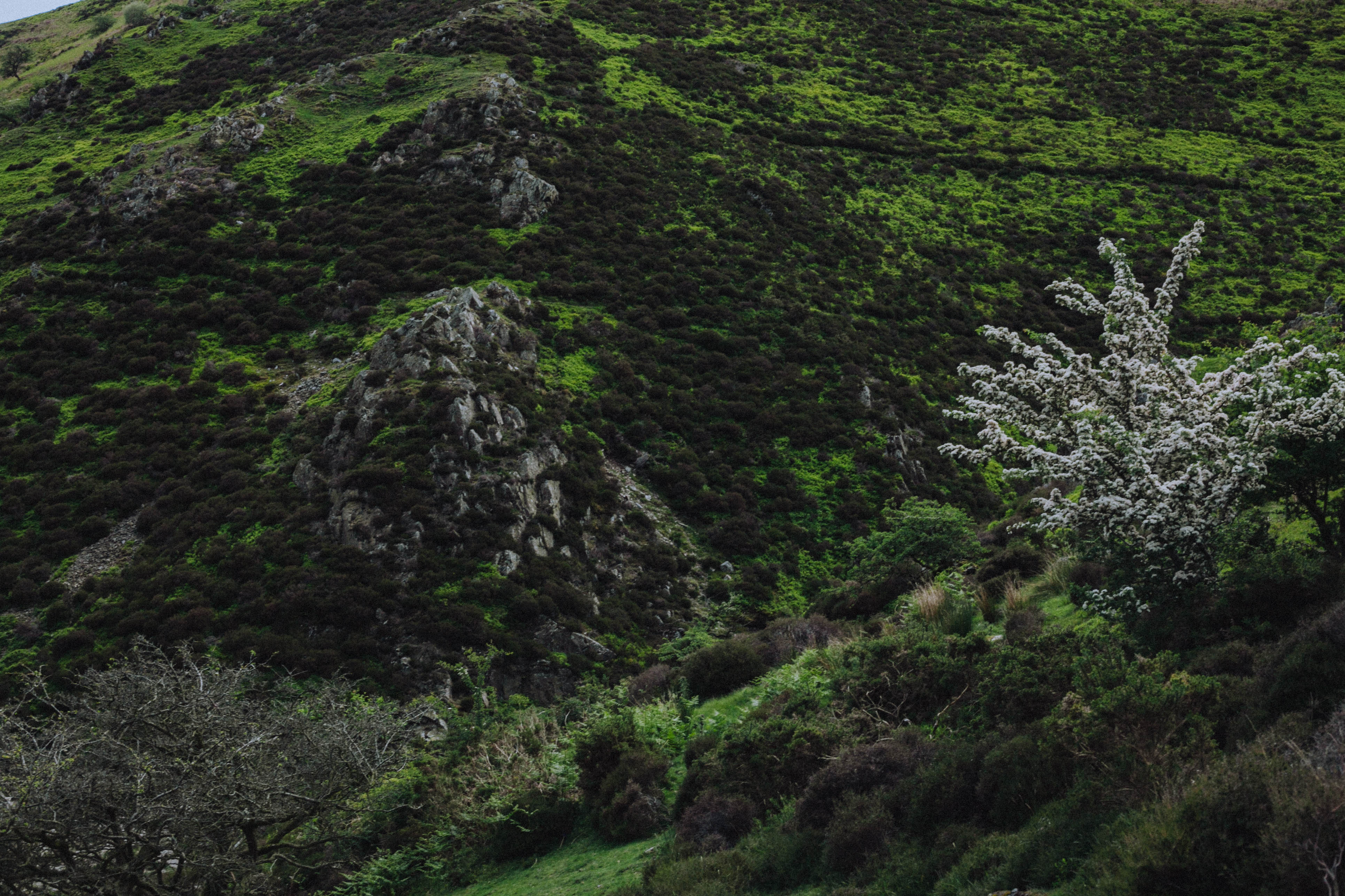 Shropshire Hills 111