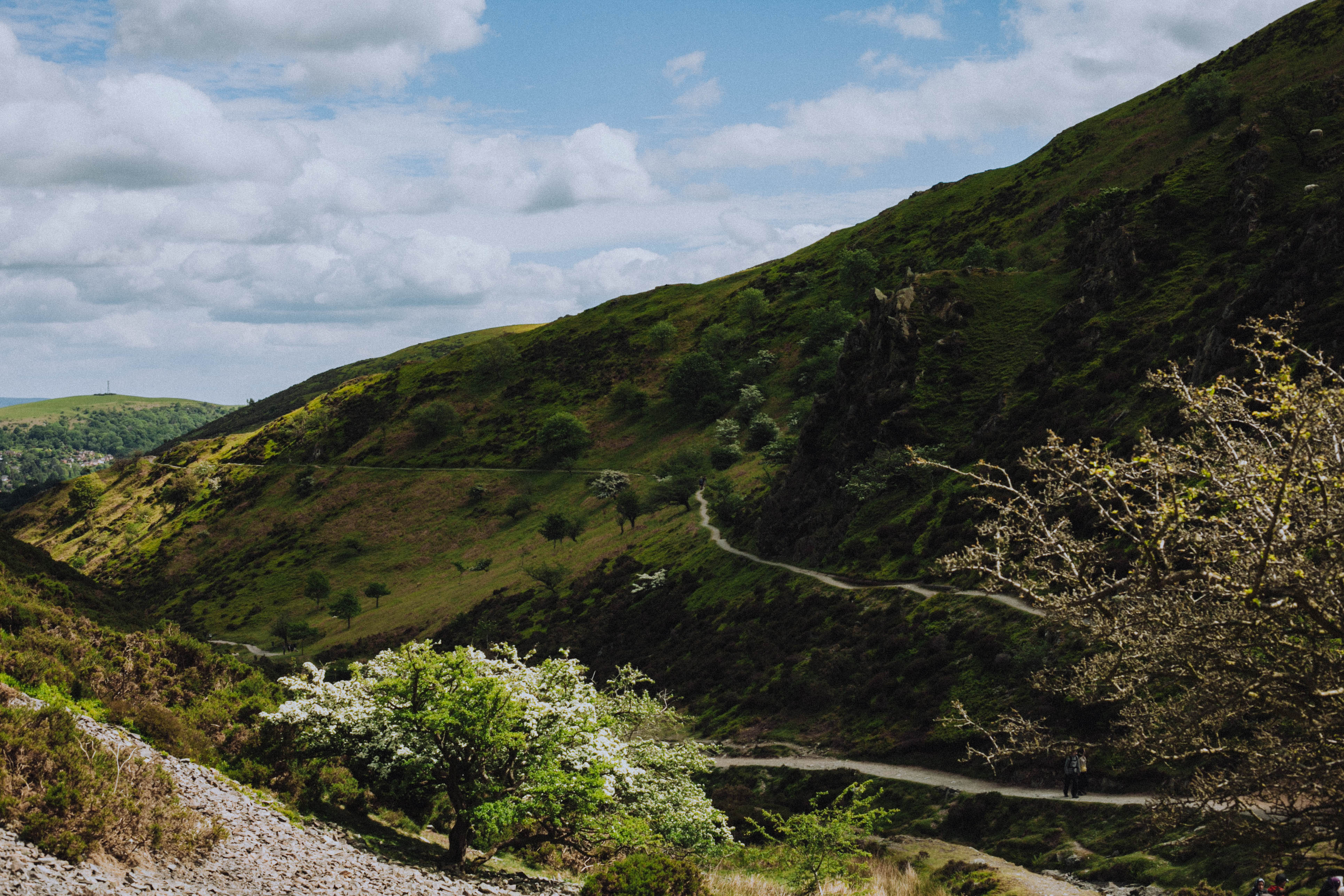 Shropshire Hills 113