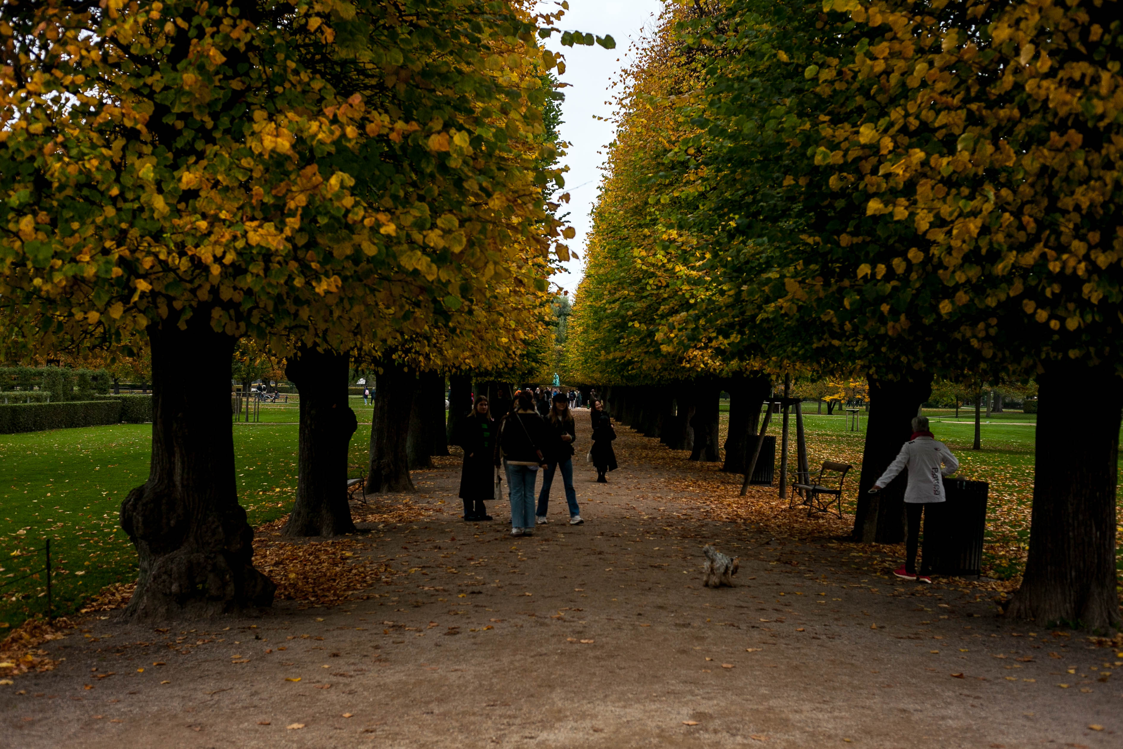 Copenhagen 51