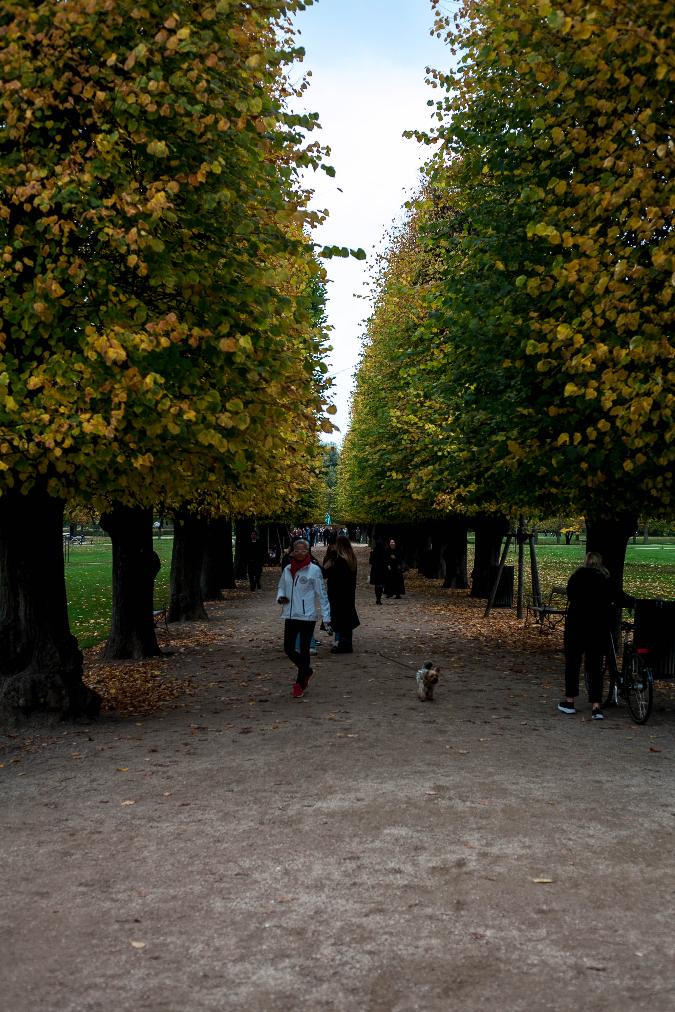 Copenhagen 52