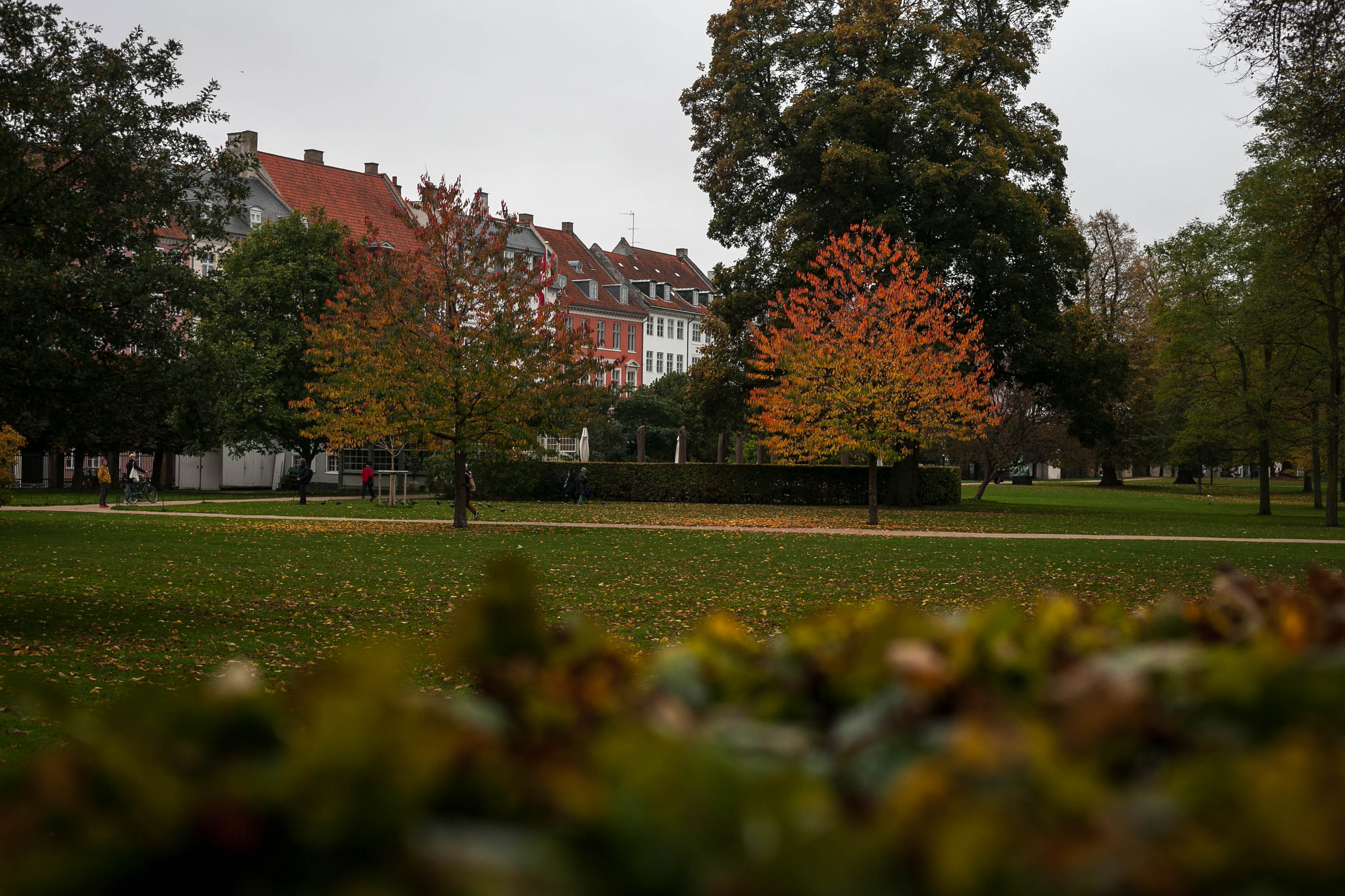 Copenhagen 80