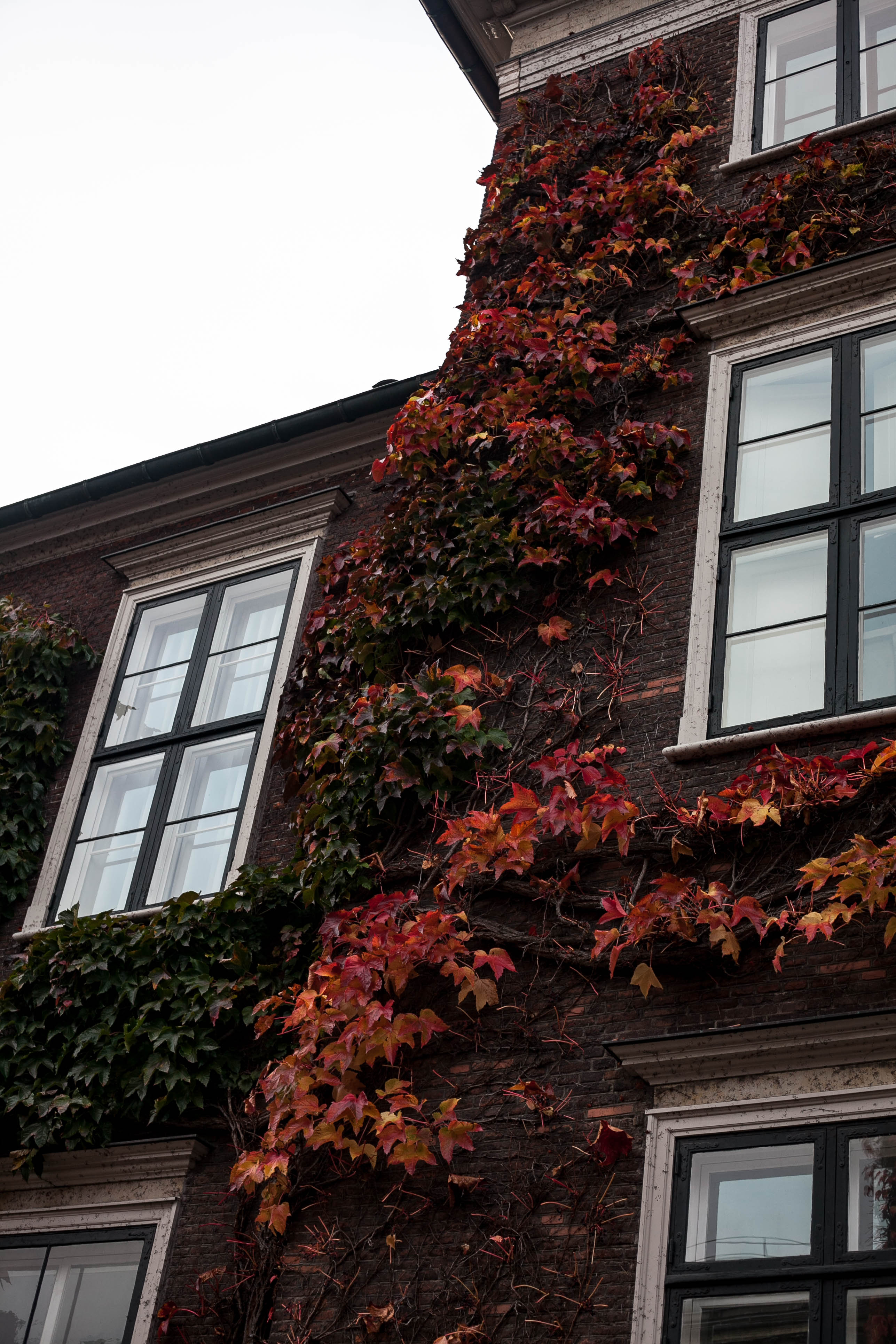 Copenhagen 135