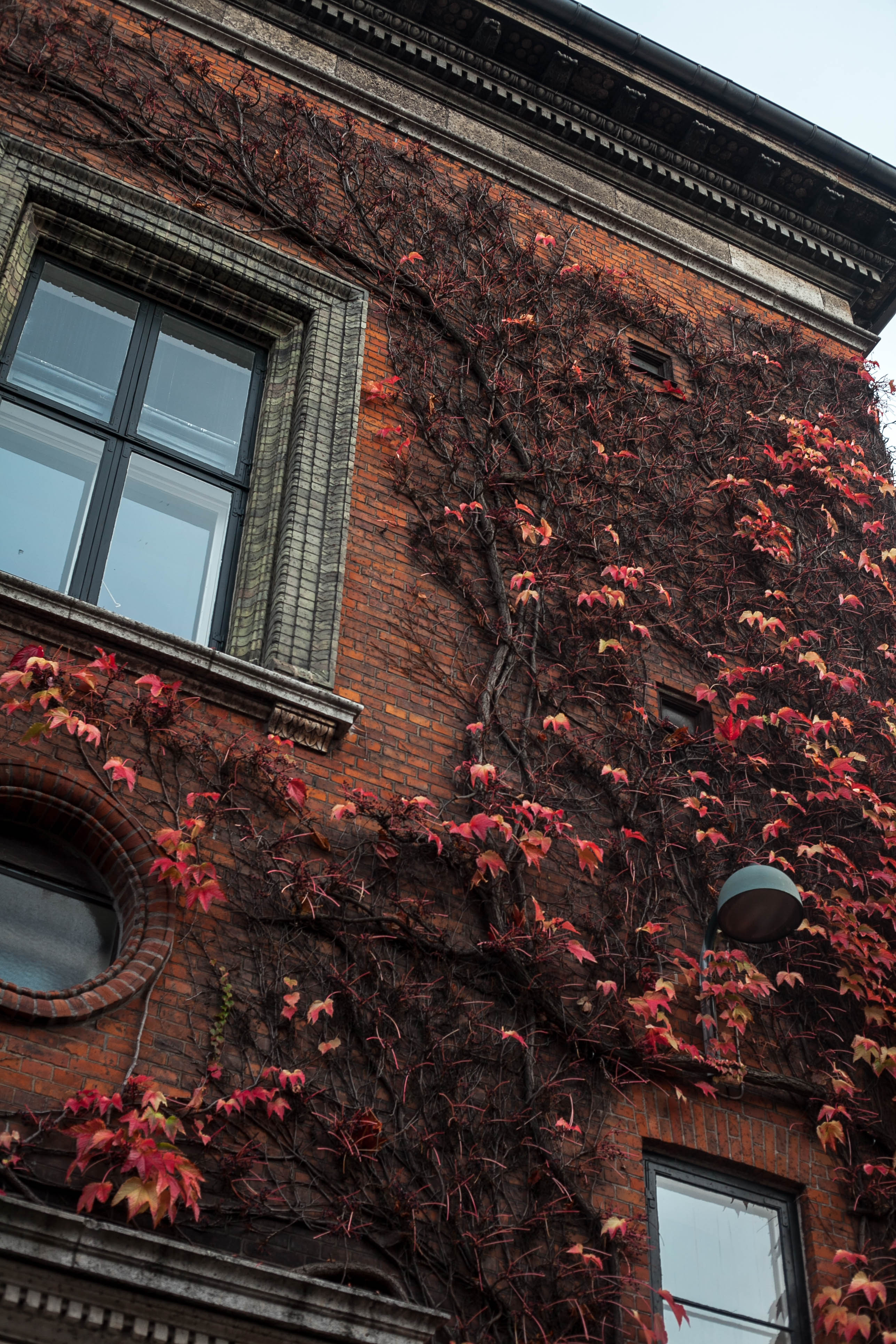 Copenhagen 136