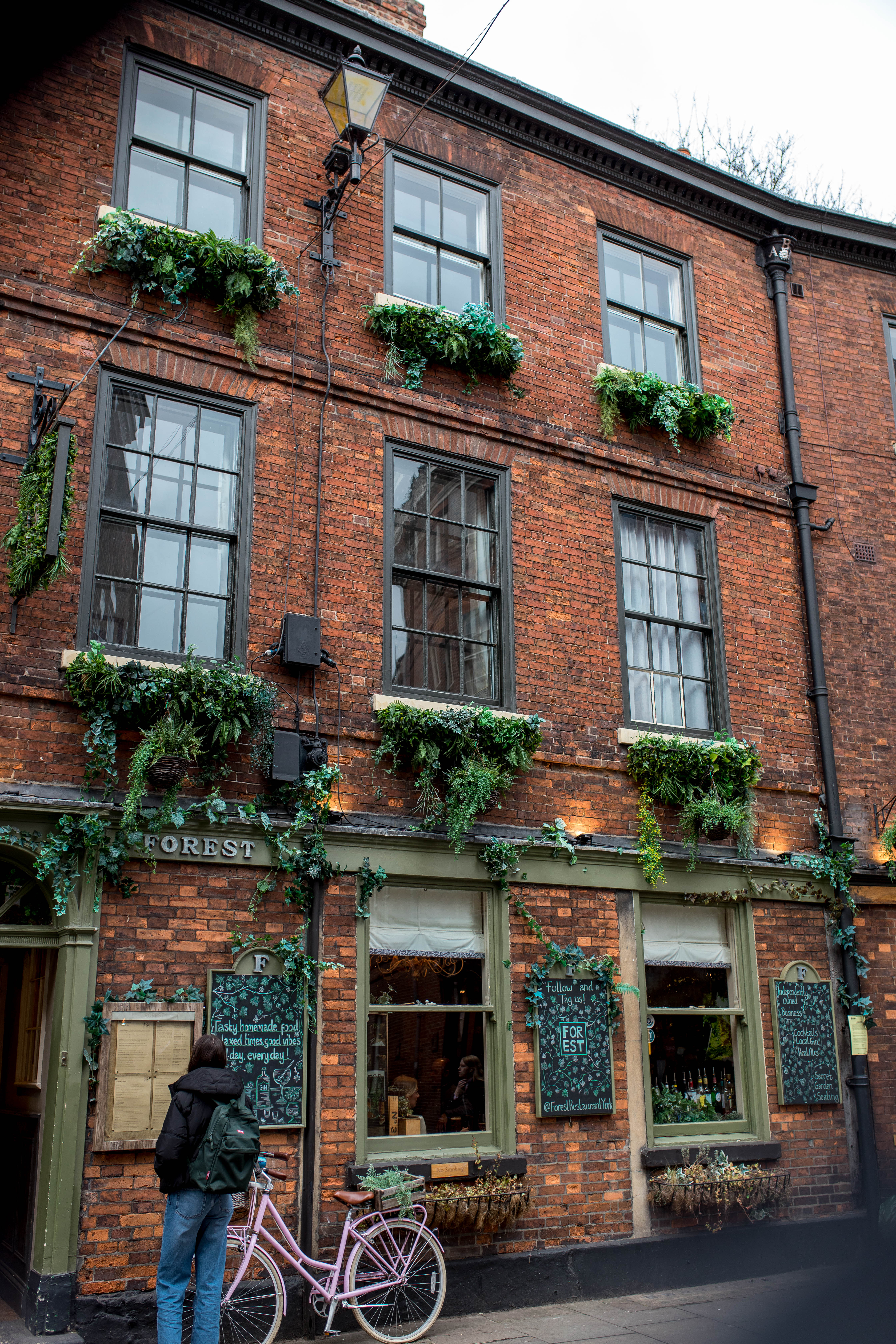 York 223