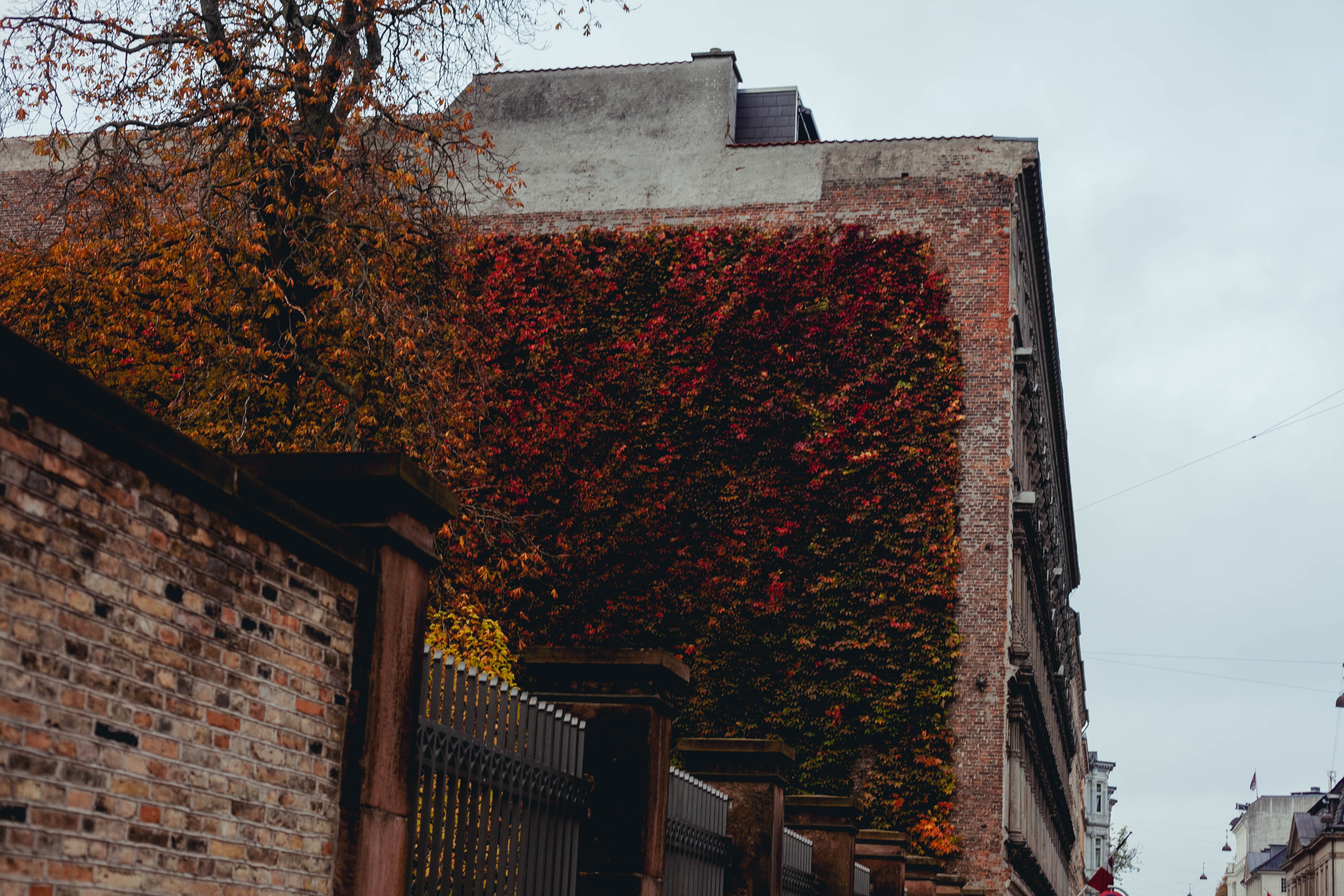Copenhagen 163