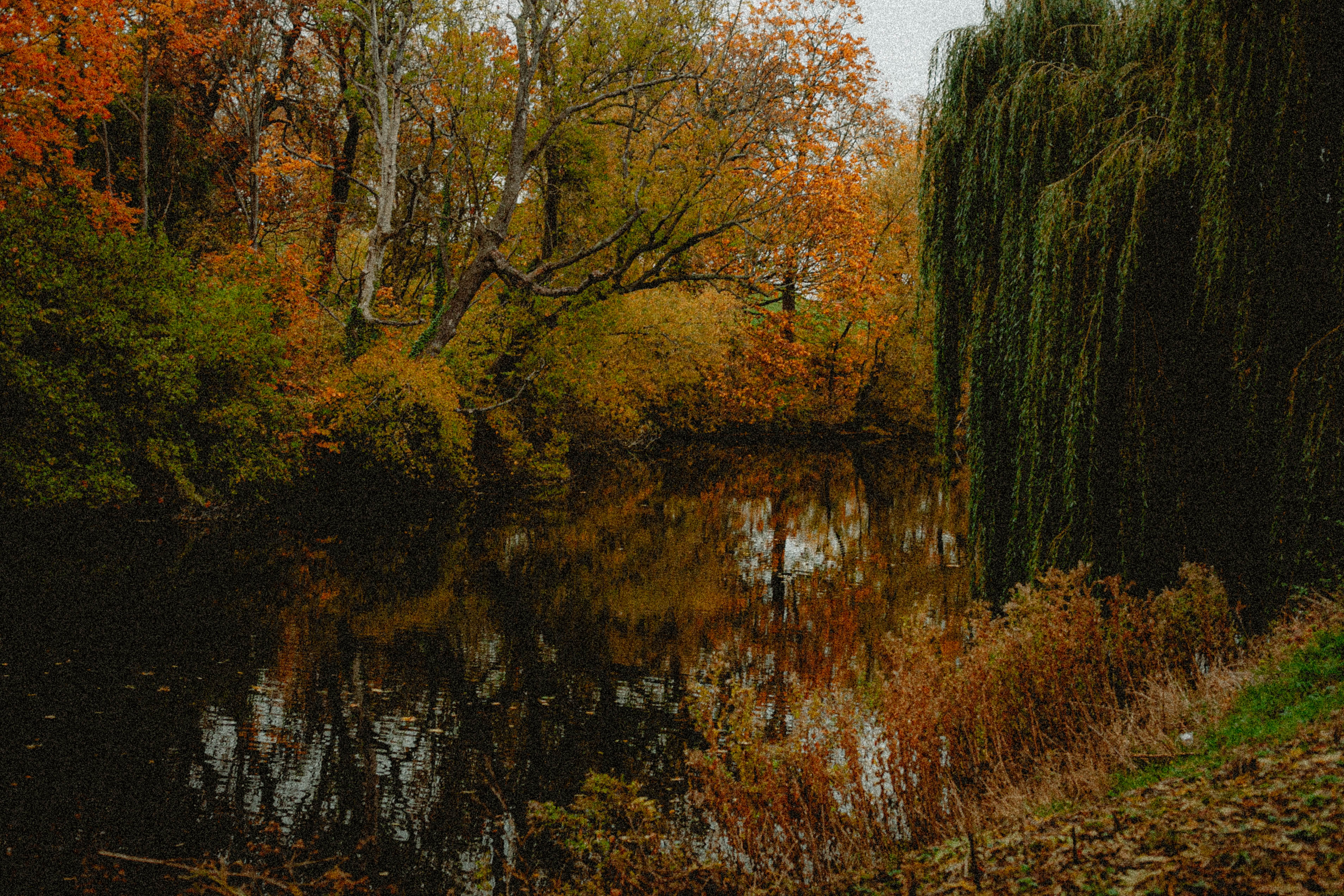 Copenhagen 173
