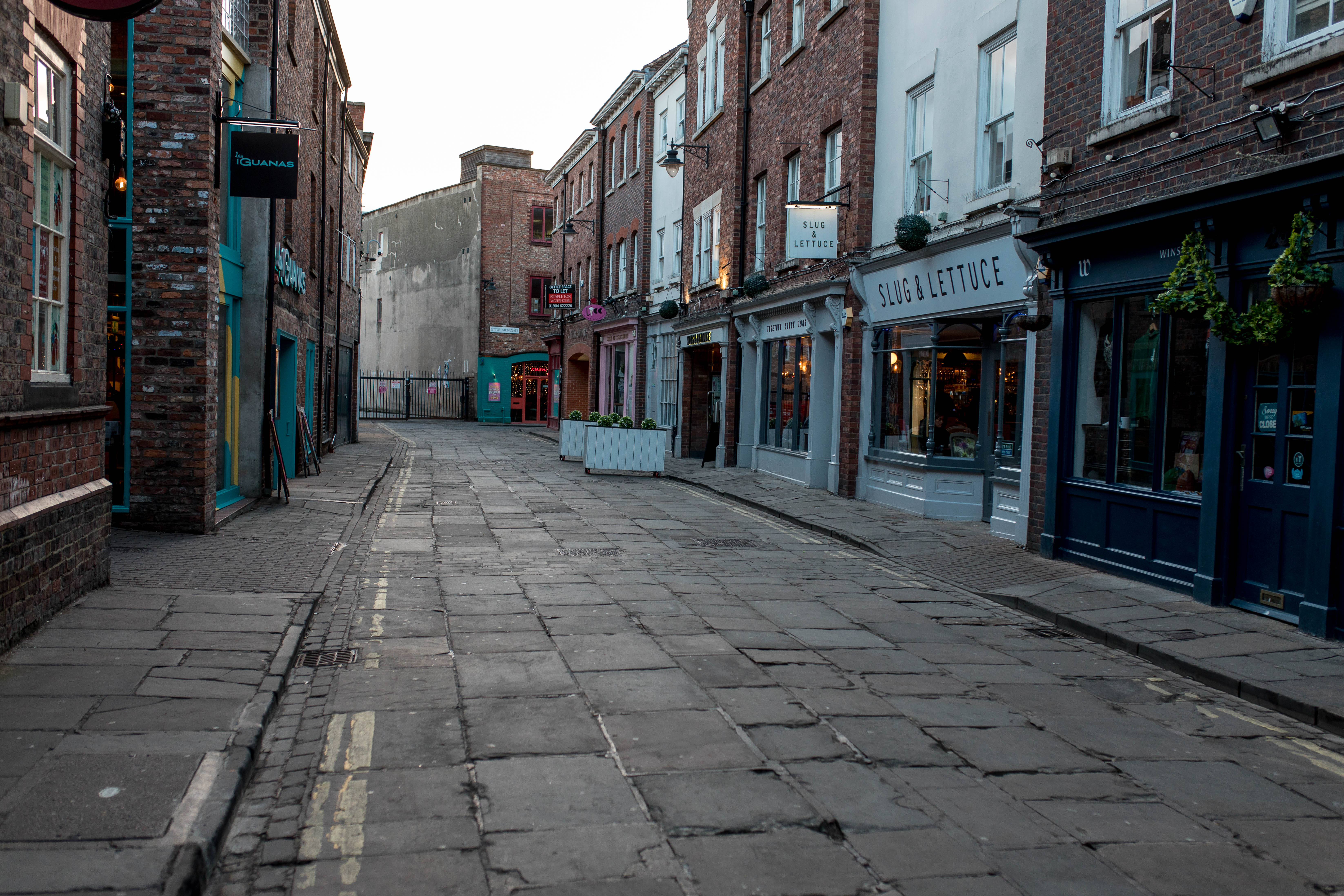 York 259