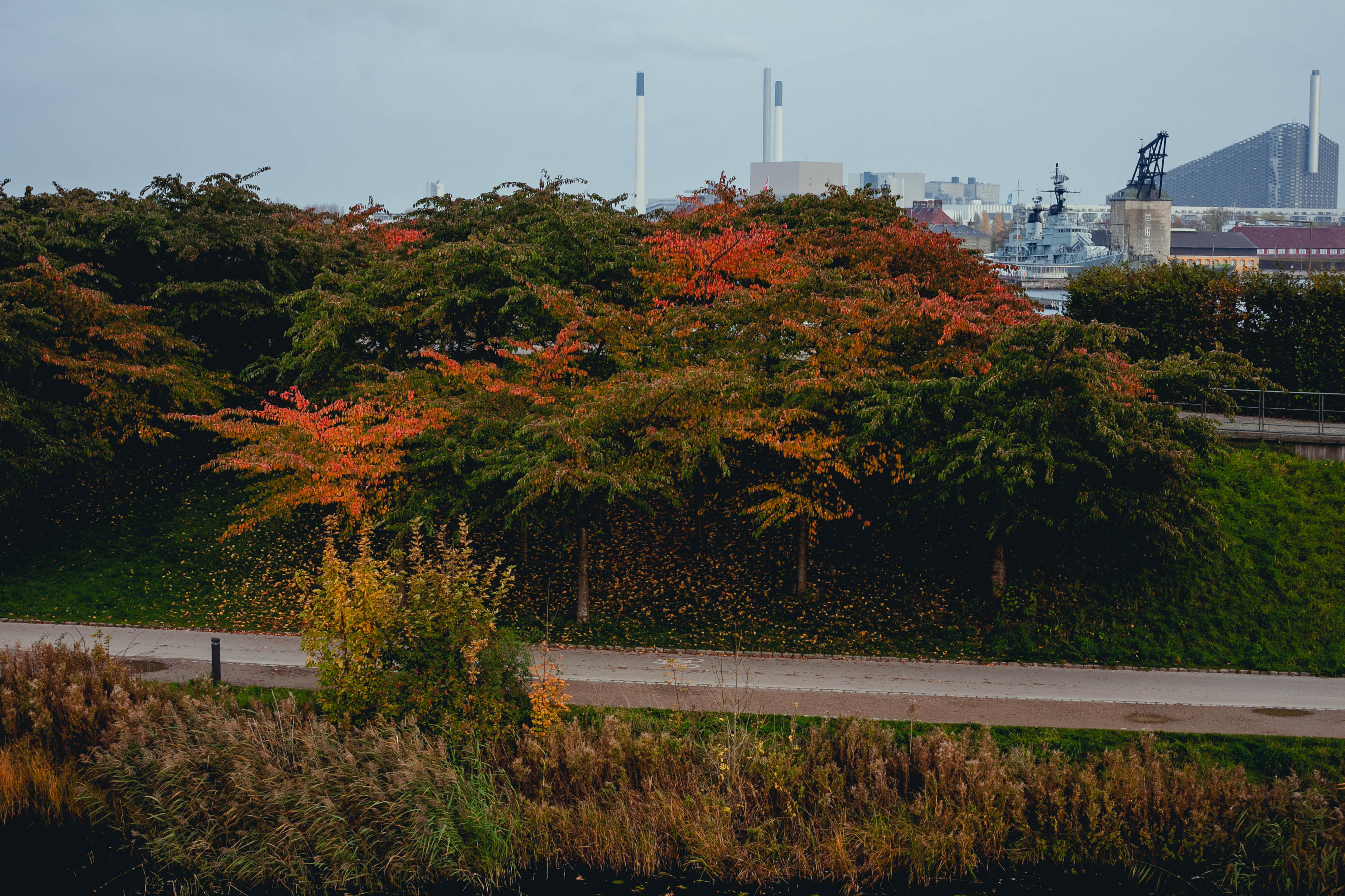 Copenhagen 196