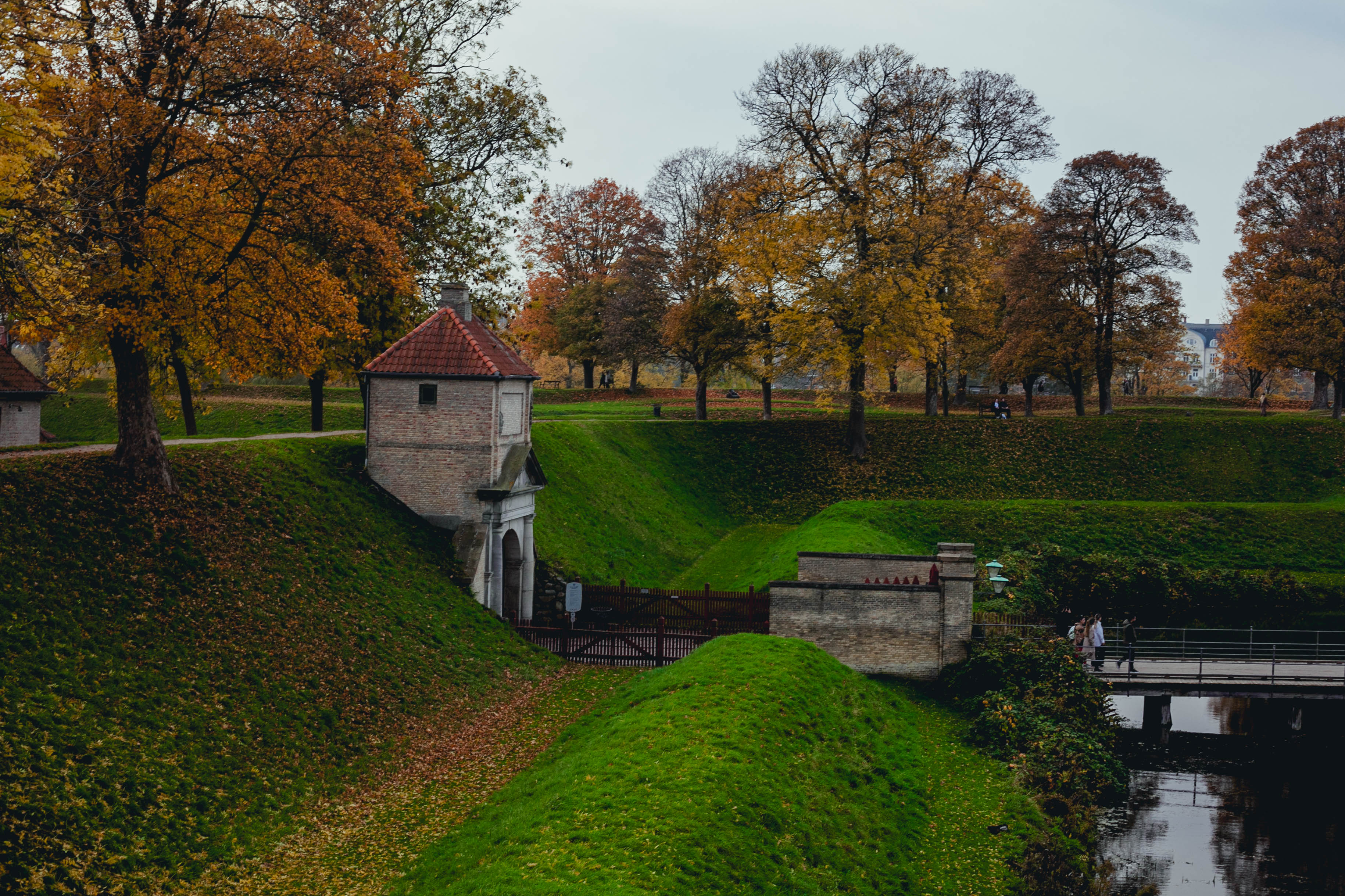 Copenhagen 205
