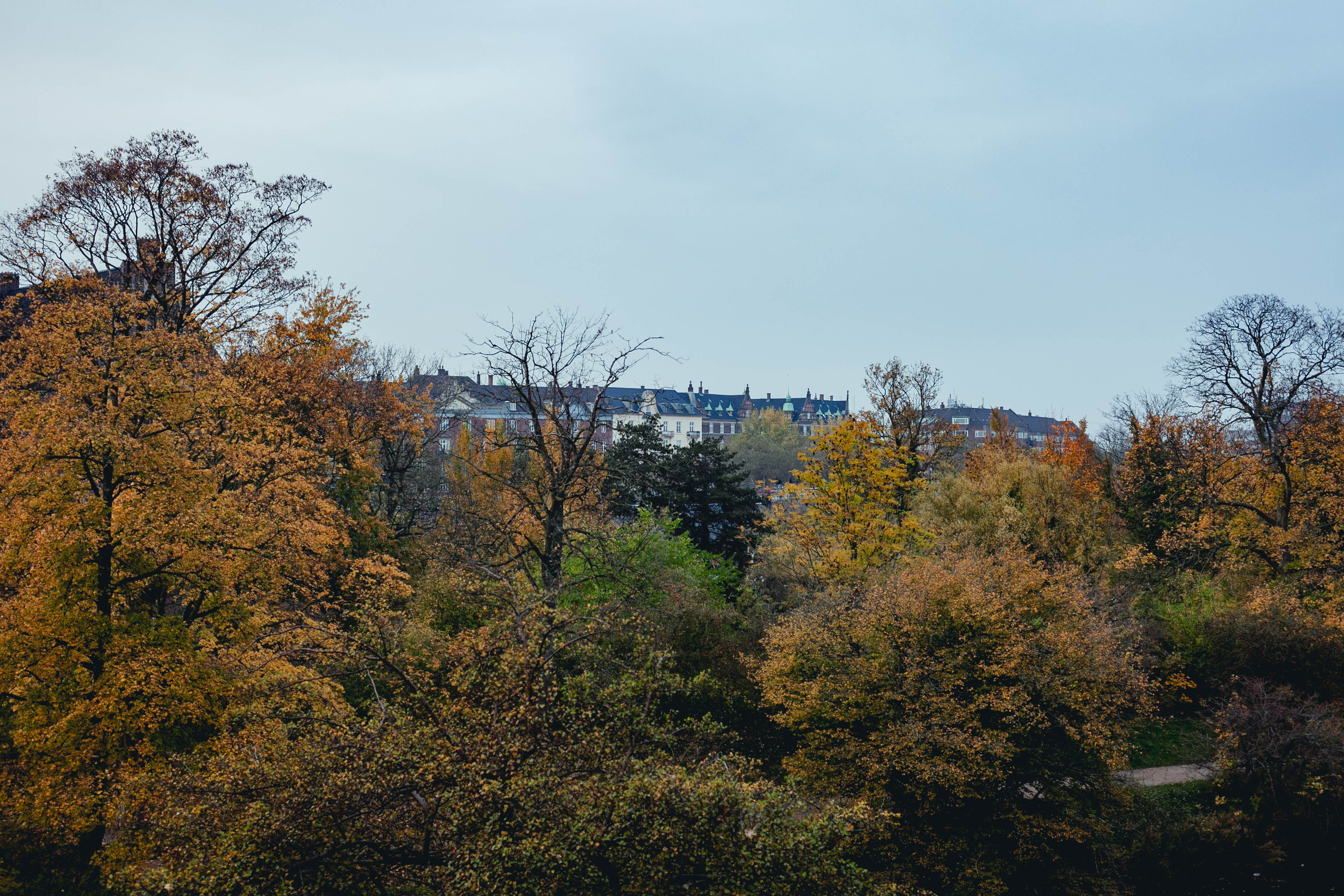 Copenhagen 215