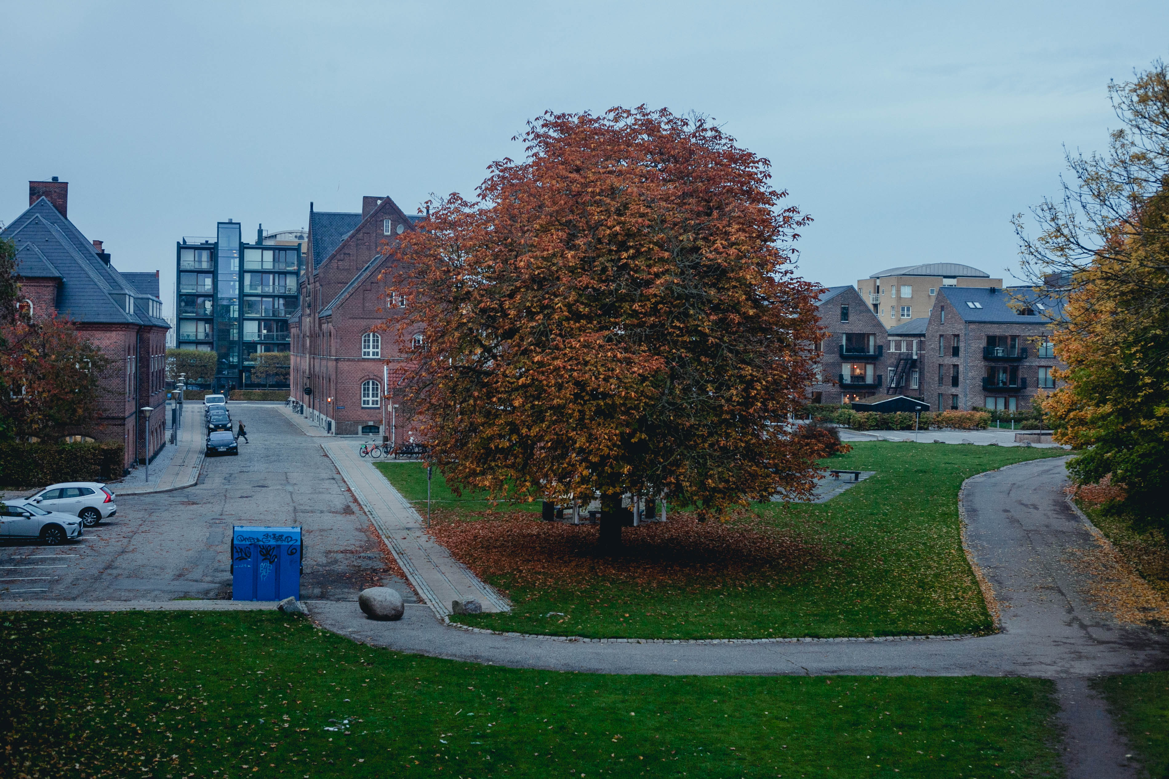 Copenhagen 217