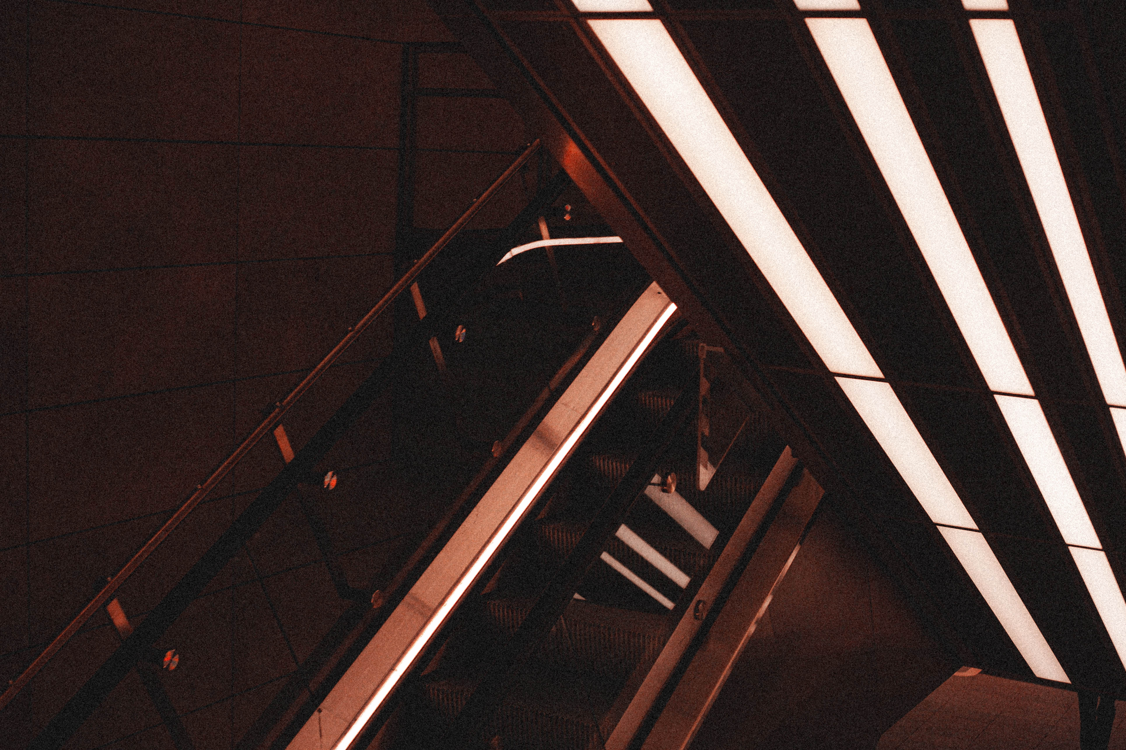Copenhagen 229
