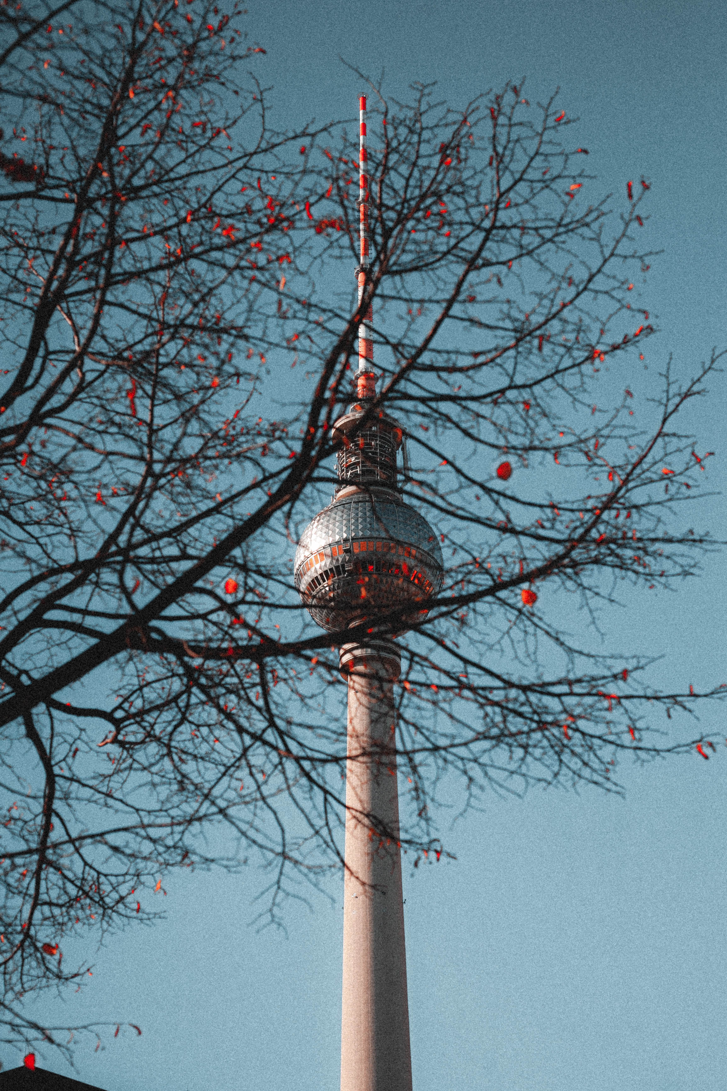 Berlin 45