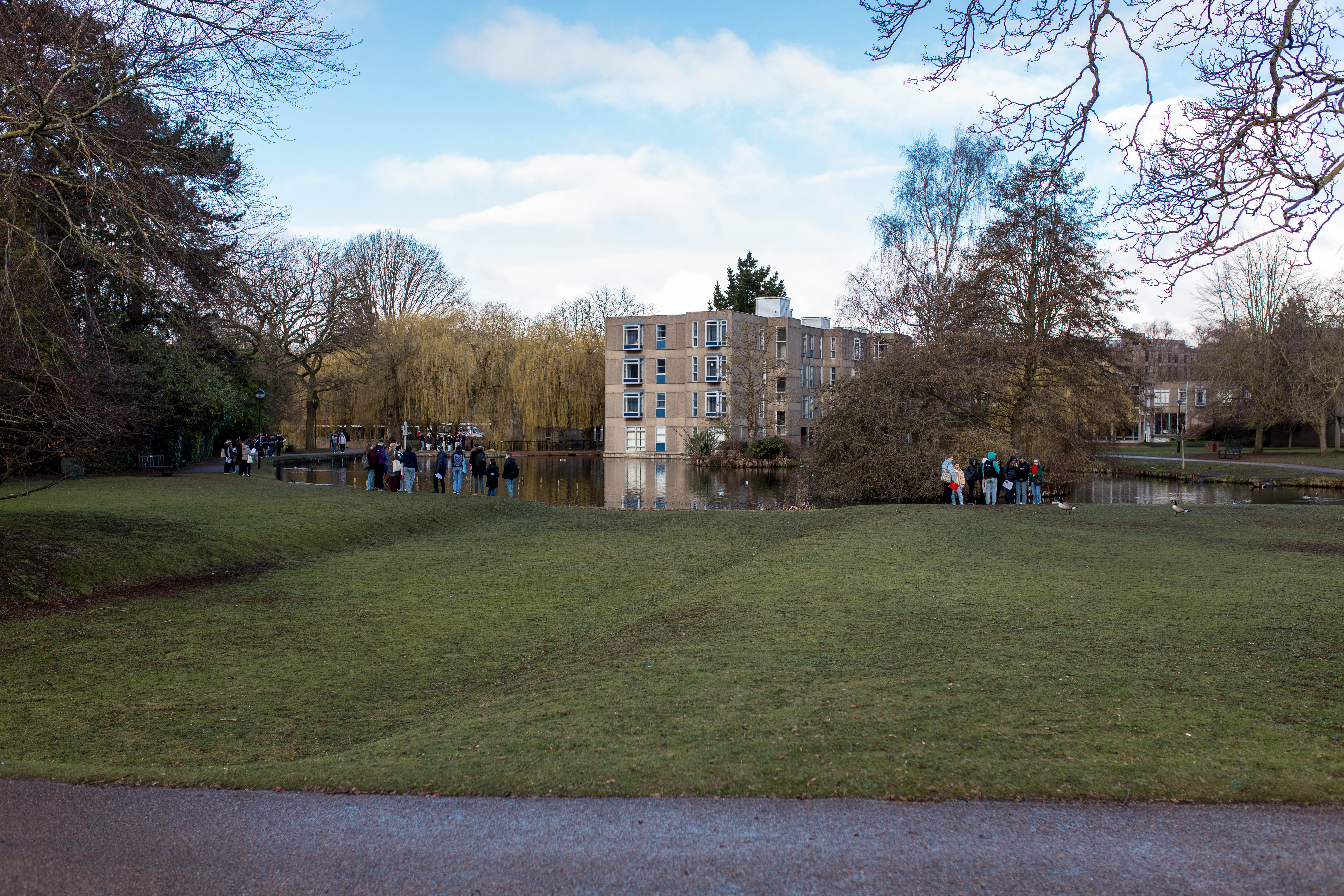 York 401